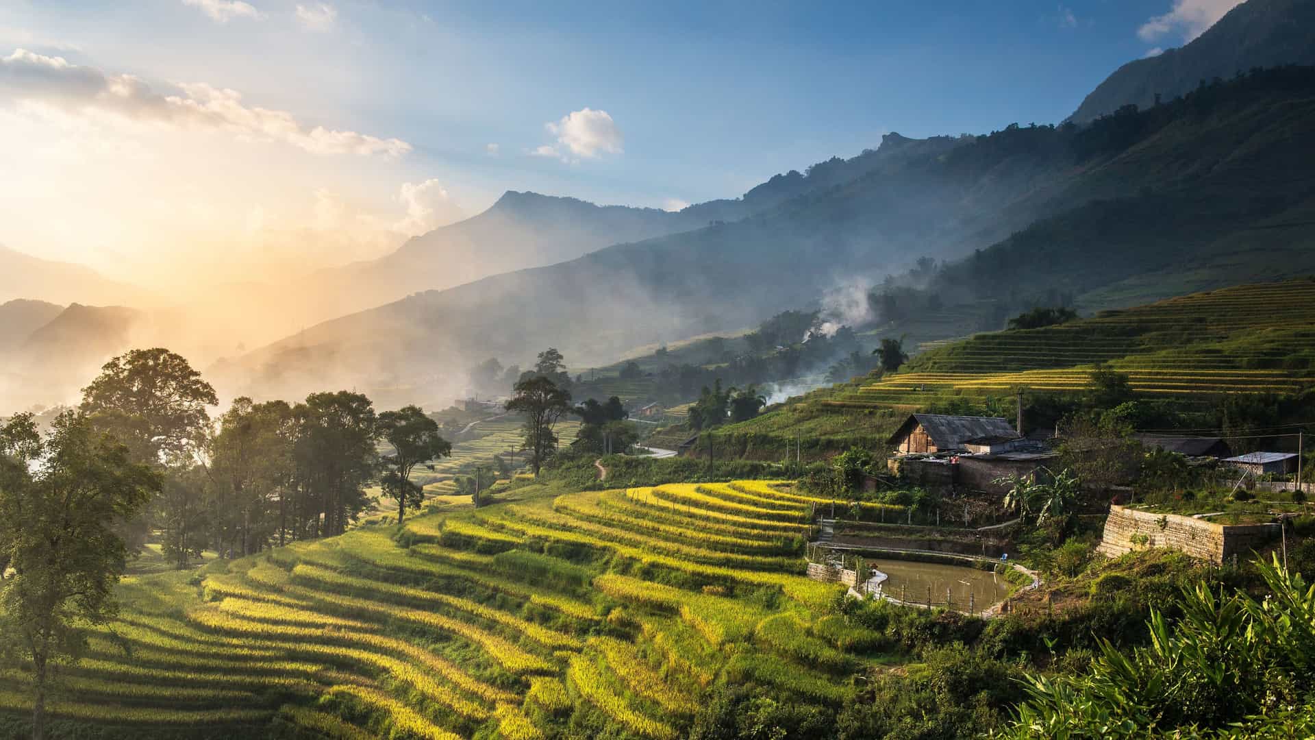 A beautiful landscape of terraced rice paddies in the mountains of Cai Be, Vietnam, with a small traditional house nestled among the fields at sunset.
