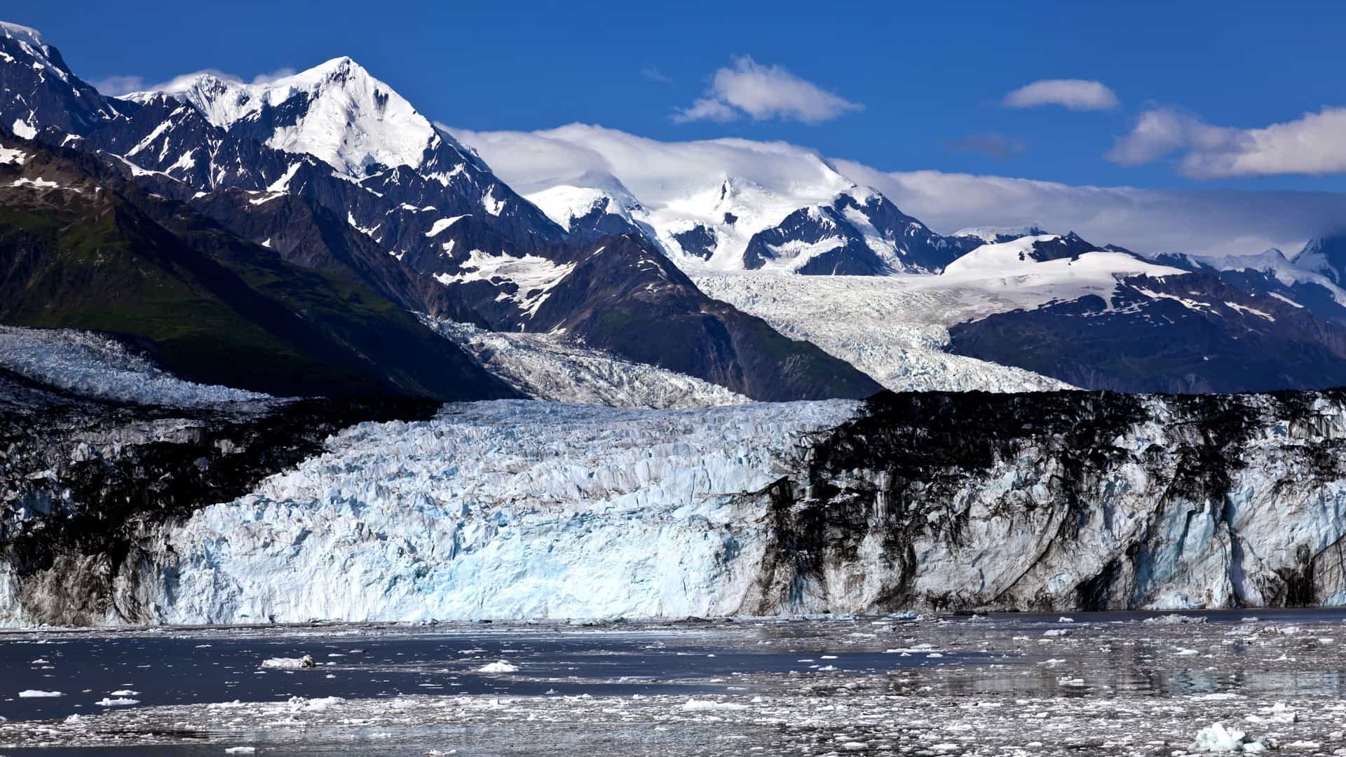 A scenic view of College Fjord, with a massive glacier and its icy face in the foreground, and snow-capped mountains under a blue sky in the background.