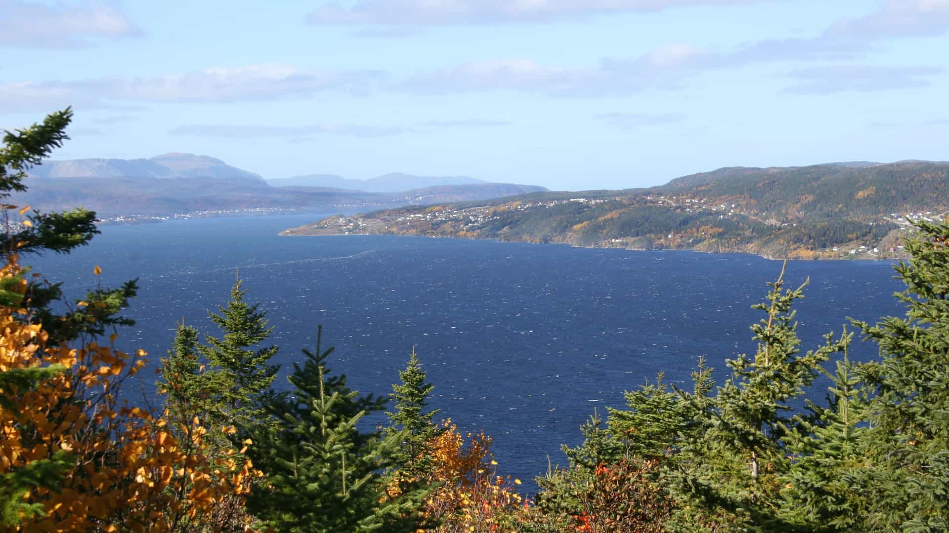 A wide scenic view of the city of Corner Brook, Newfoundland and Labrador, nestled on the shores of the Bay of Islands, surrounded by autumn forests.