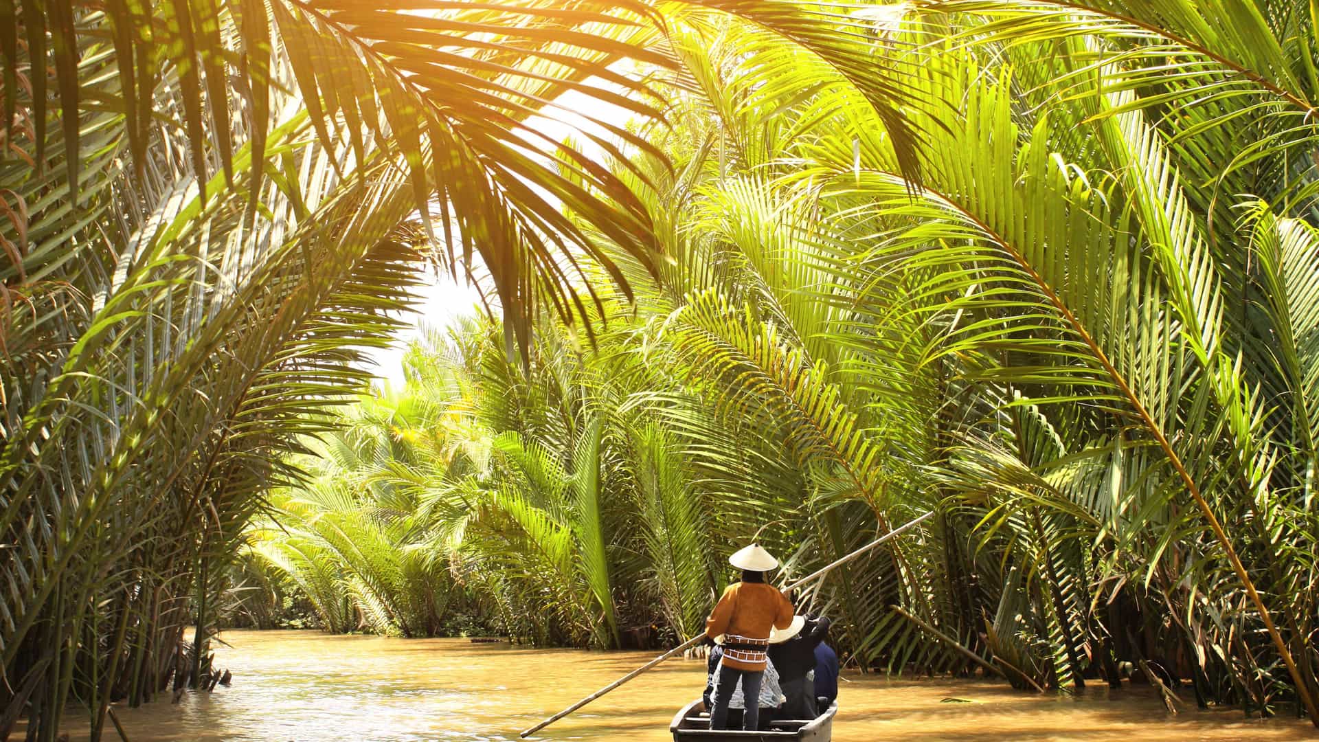 A Vietnamese guide wearing a conical hat paddles a traditional sampan boat through a sunny, narrow canal arched over by lush palm trees in Cu Lao Gieng.