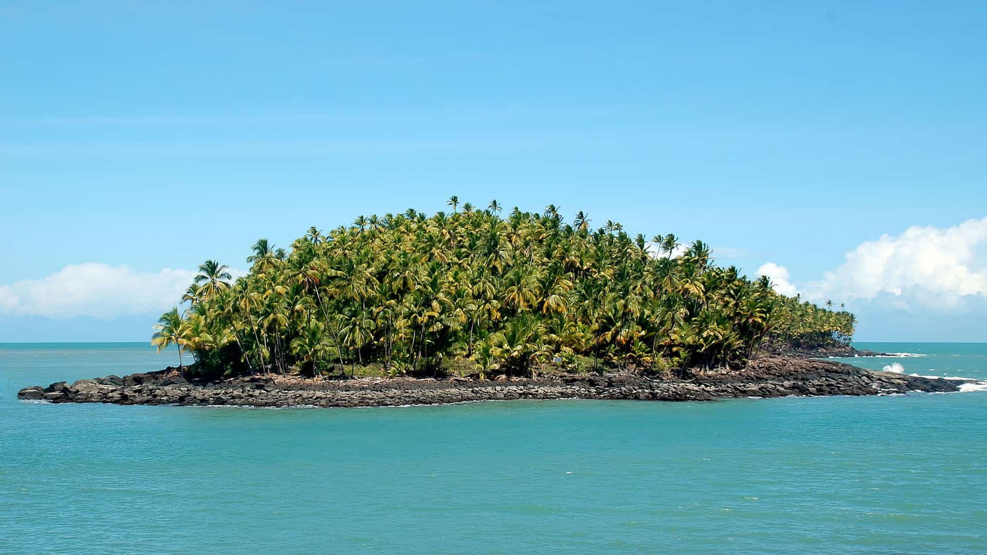 A scenic view of Devil's Island, a small tropical island in French Guiana, completely covered by a dense forest of palm trees.