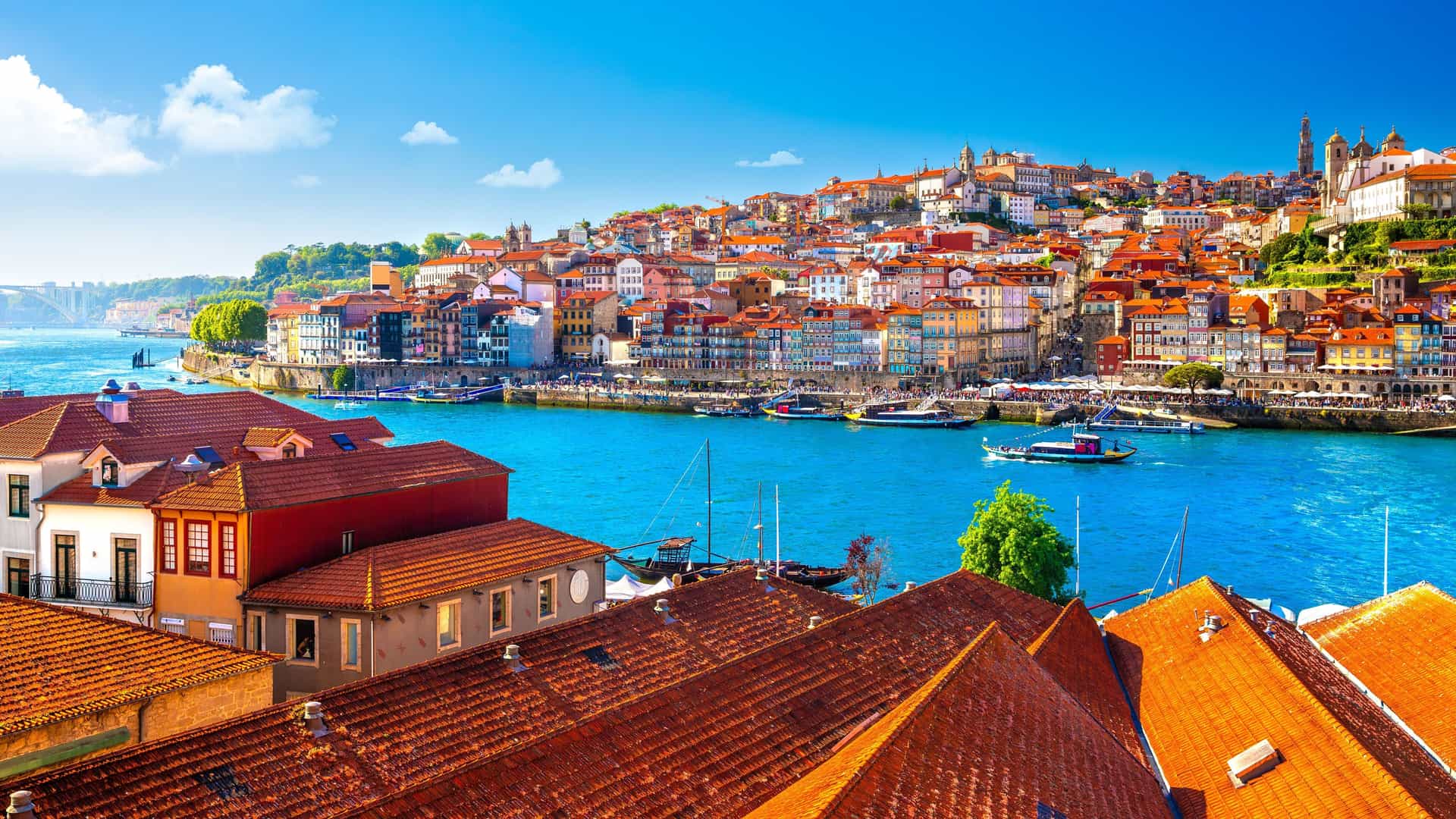 A stunning view of colorful historic buildings along the Douro River in Porto, Portugal, with traditional rabelo boats and a bright blue sky.