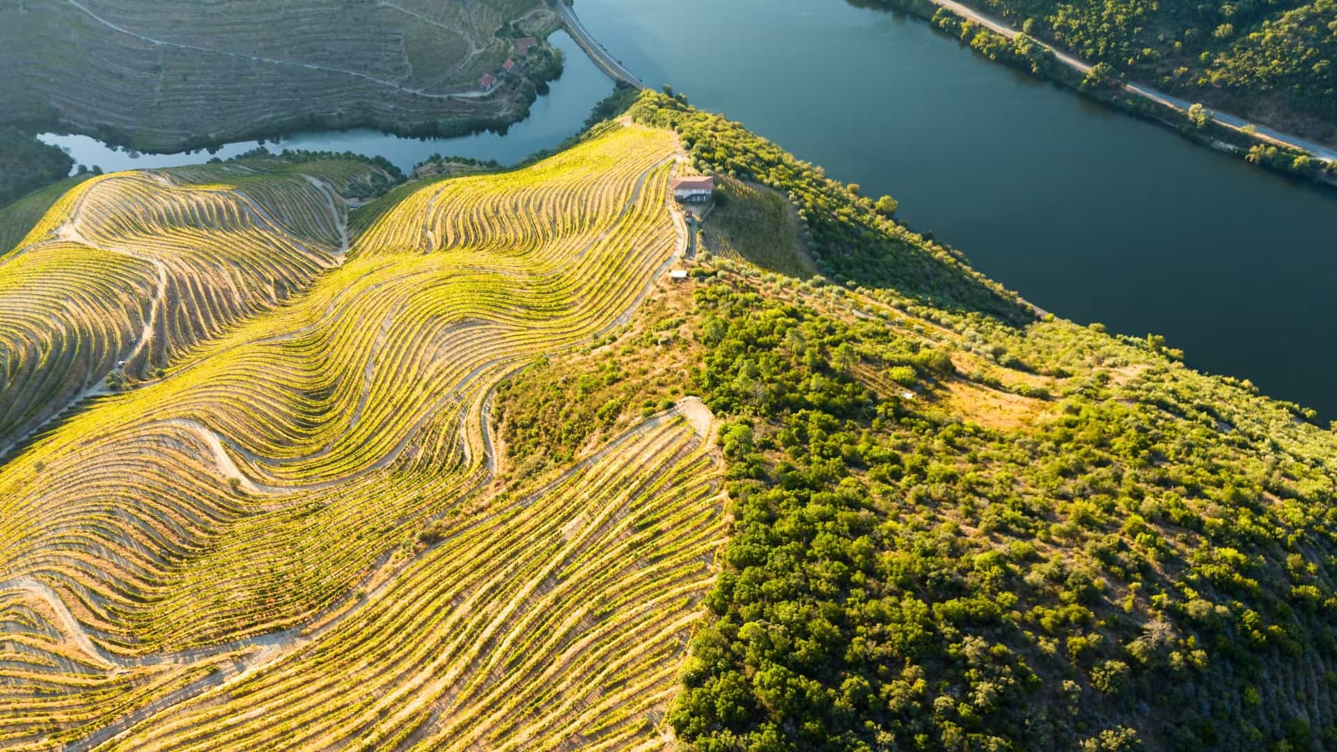 A breathtaking panoramic view of the Douro Valley, Portugal, specifically looking down onto the town of Pinhão and the Douro River. The landscape is dominated by the steep hillsides covered with the UNESCO World Heritage-listed, ancient terraced vineyards (Quintas), which are cultivated for Port wine production. The river meanders through the valley, reflecting the sky. This view is often captured from a high vantage point like the Miradouro do Casal de Loivos.