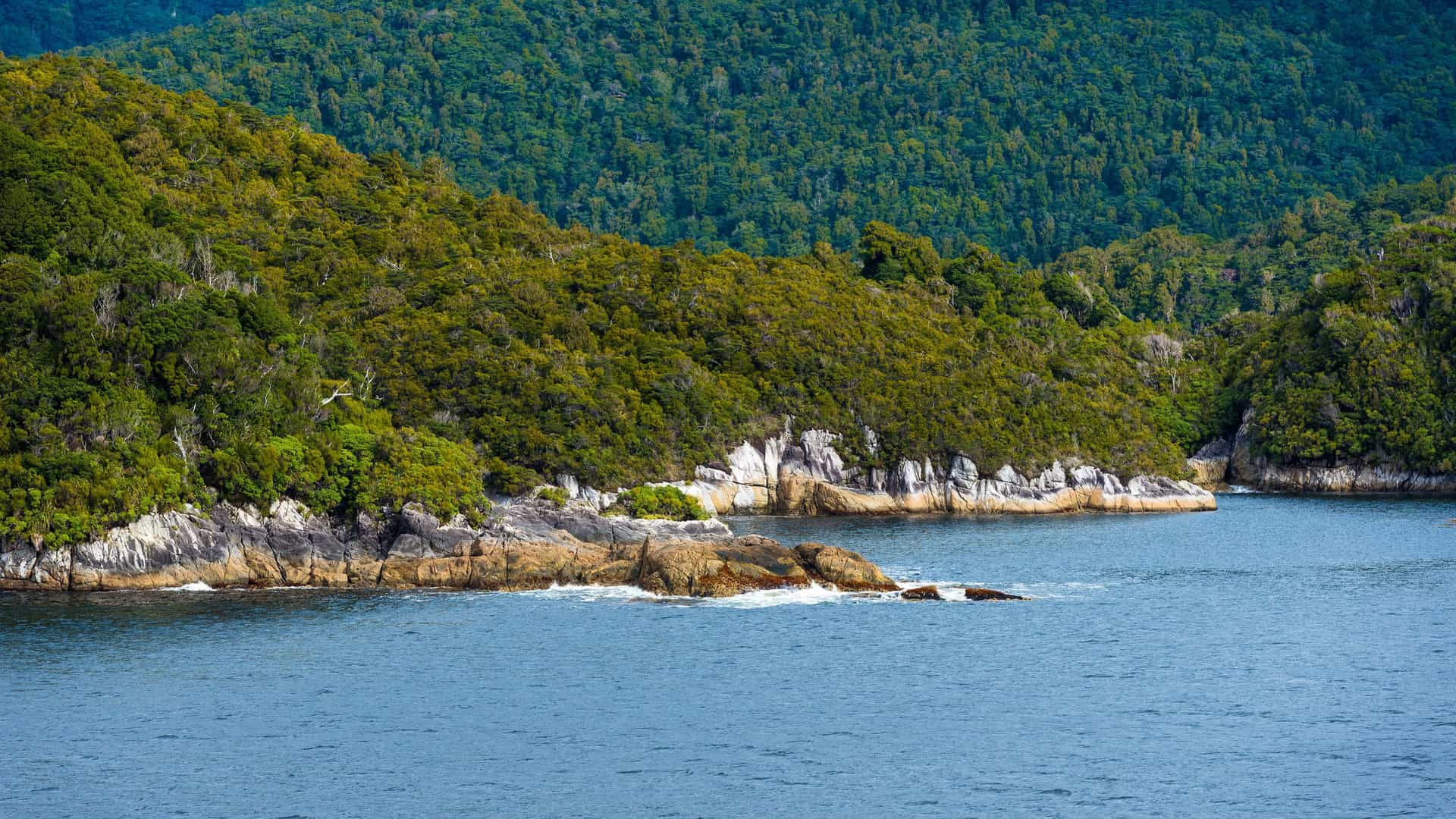 A dramatic view of Dusky Sound in New Zealand's Fiordland National Park, with dense green forest covering a rugged coastline that meets the deep blue water.
