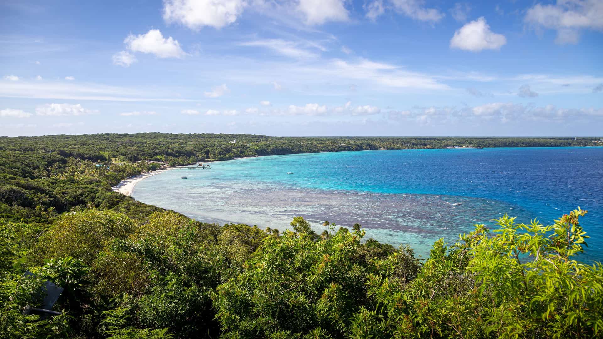 A beautiful panoramic shot of Easo's beach on Lifou Island, with a lush green forest meeting a stunning turquoise bay and coral reef under a clear blue sky.