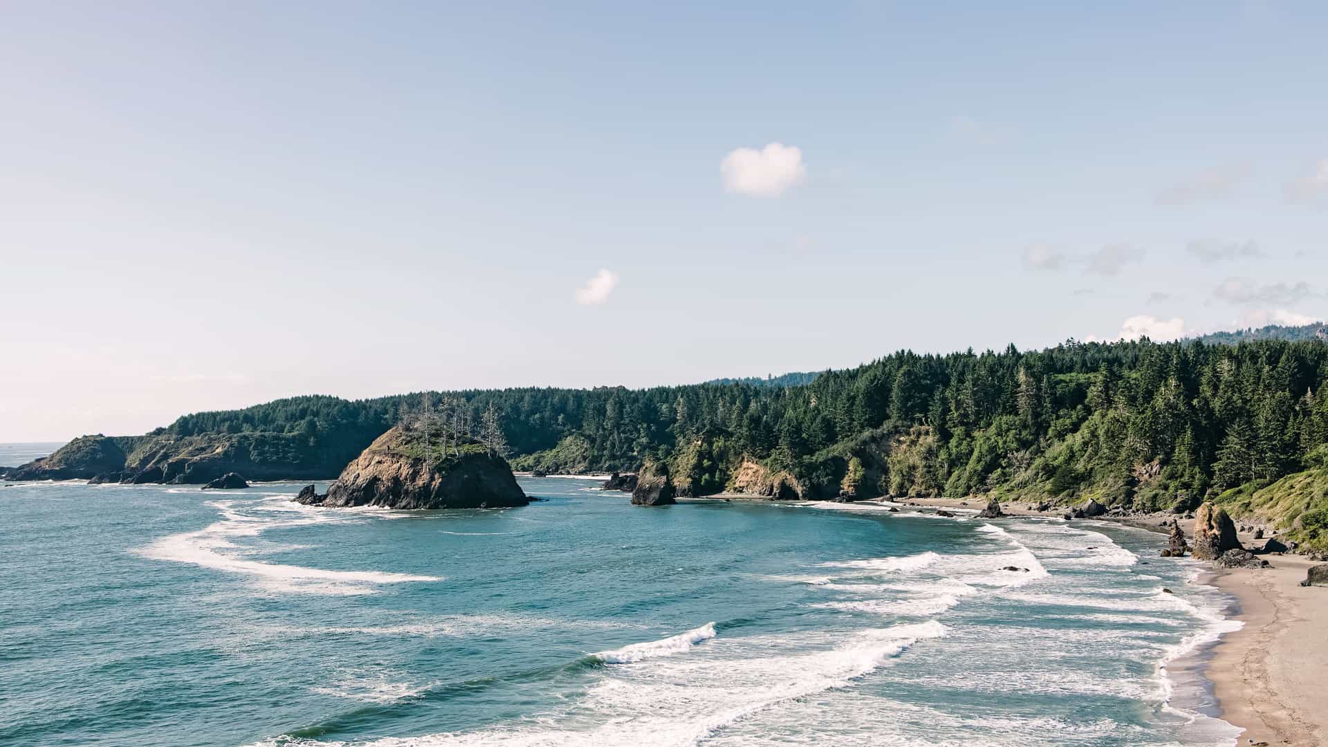 "A stunning view of the rugged Northern California coastline near Eureka, with waves crashing on a sandy beach and a small, tree-covered rocky island in the water, with a dense forest on the cliffs above.  "