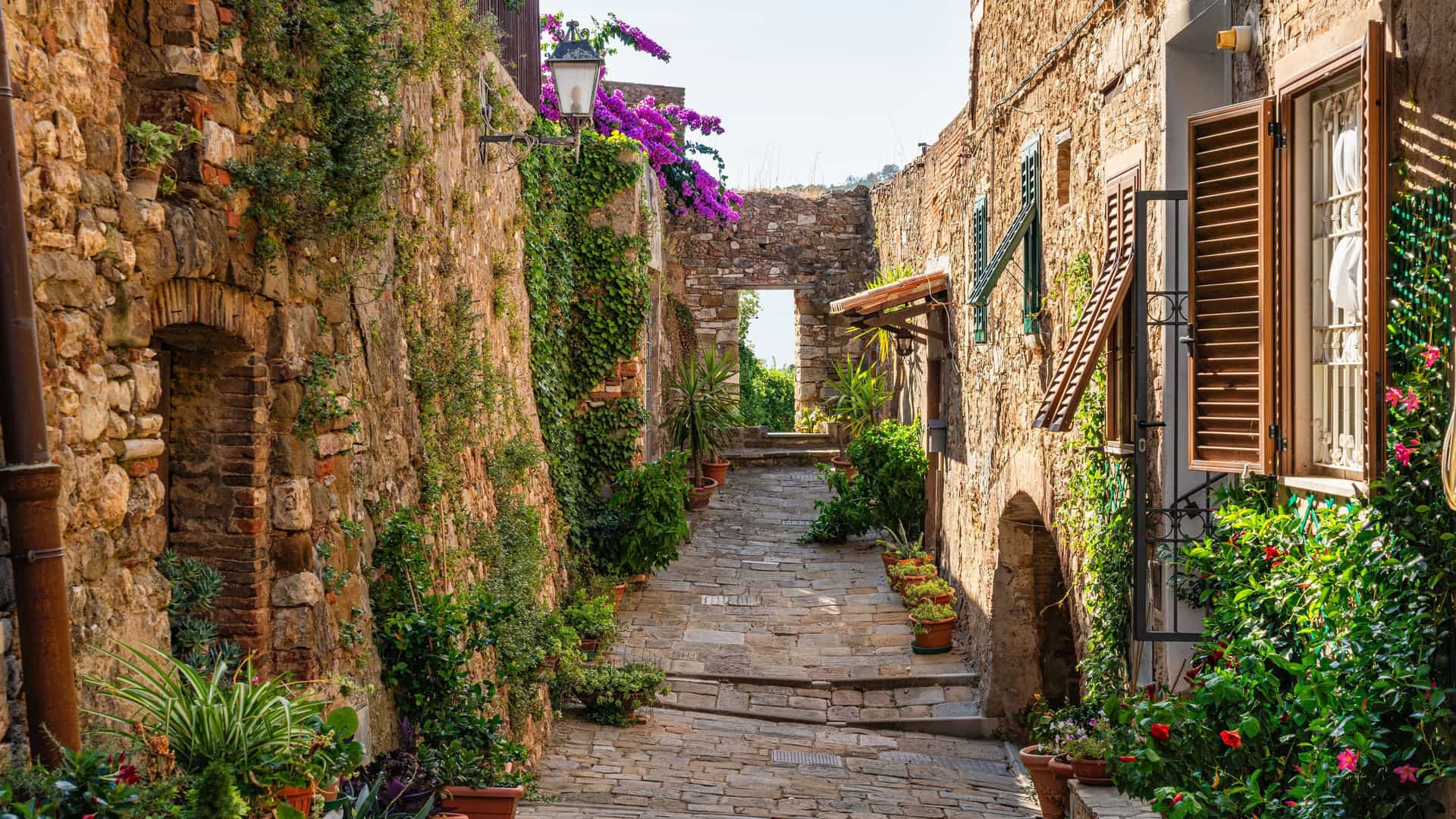 A beautiful image of a narrow, stone-paved street in a medieval Italian village near Livorno, adorned with ivy-covered walls, potted plants, and colorful flowers, giving a feeling of tranquility.