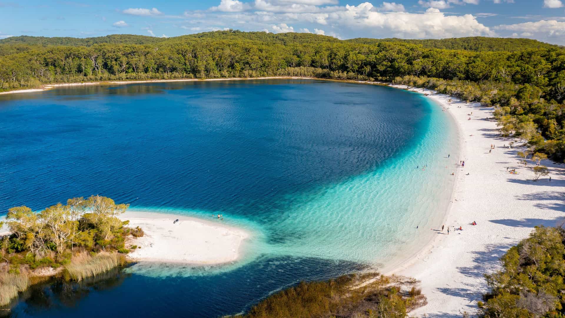 An aerial view of the serene Lake McKenzie on Fraser Island, Australia, highlighting the stunning contrast between the deep blue lake and the white silica sand beach surrounded by lush green forest.