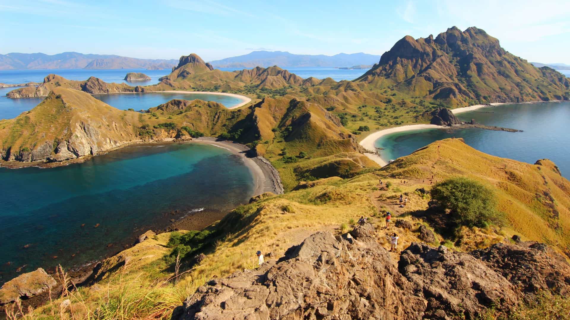 A breathtaking panoramic view from the summit of Padar Island in Komodo National Park, Indonesia, showing rugged brown hills, several turquoise bays, and white sand beaches under a clear blue sky.