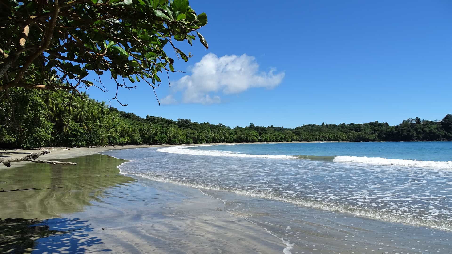 A tranquil beach on Isla Parida, with gentle waves lapping against the sandy shore and a lush green rainforest lining the coast.
