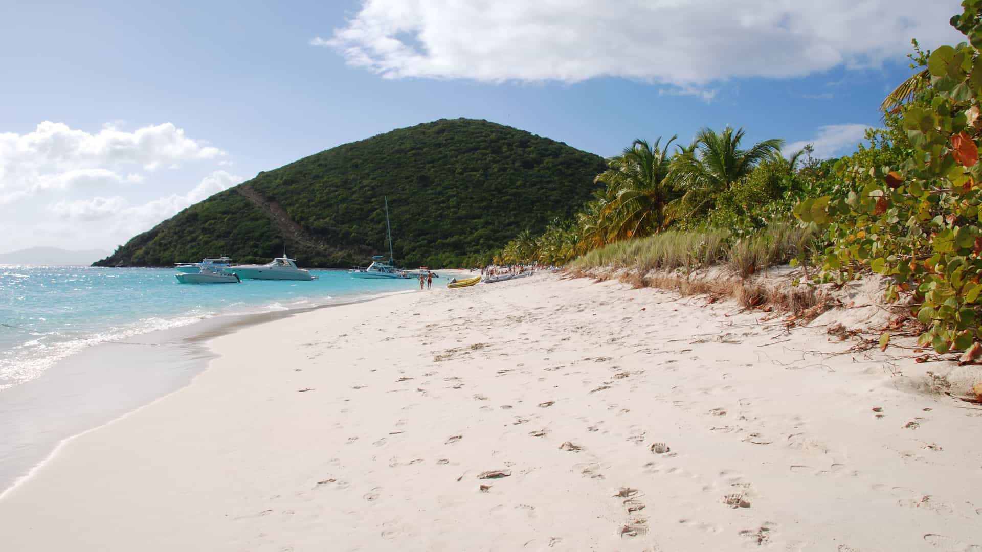 An idyllic white-sand beach with turquoise water and palm trees on Jost Van Dyke, with a lush green hill in the background.
