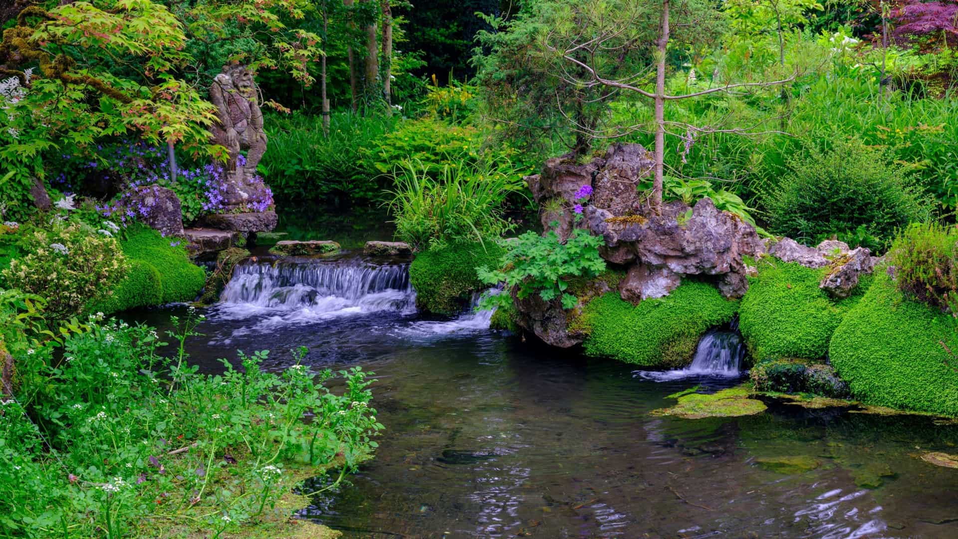 A tranquil view of the Japanese Gardens in Kildare, Ireland, showing a clear stream winding through the lush green landscape, cascading over small rock waterfalls that are heavily covered in vibrant moss, surrounded by ferns, trees, and colorful flowers.