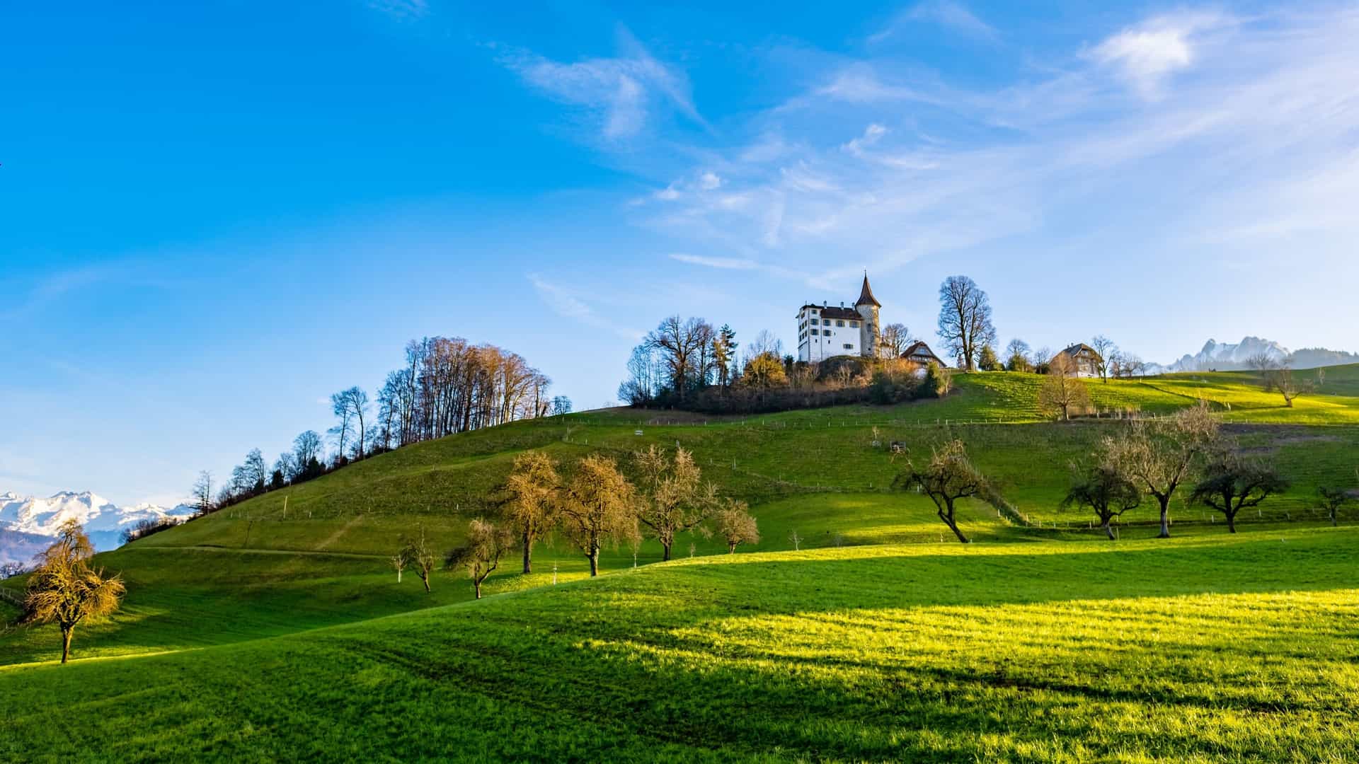 The white walls and dark spire roof of Schloss Schauensee castle are visible atop a lush, sunlit green hill in Kriens, Switzerland. The foreground features several bare-branched fruit trees, with the snow-capped Swiss Alps faintly visible in the far distance under a bright blue sky.