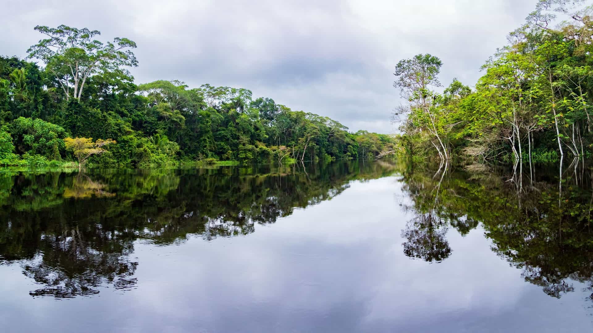 A peaceful view of the Marañón River in the Peruvian Amazon rainforest, with lush green trees lining the banks and their reflections visible in the calm water.