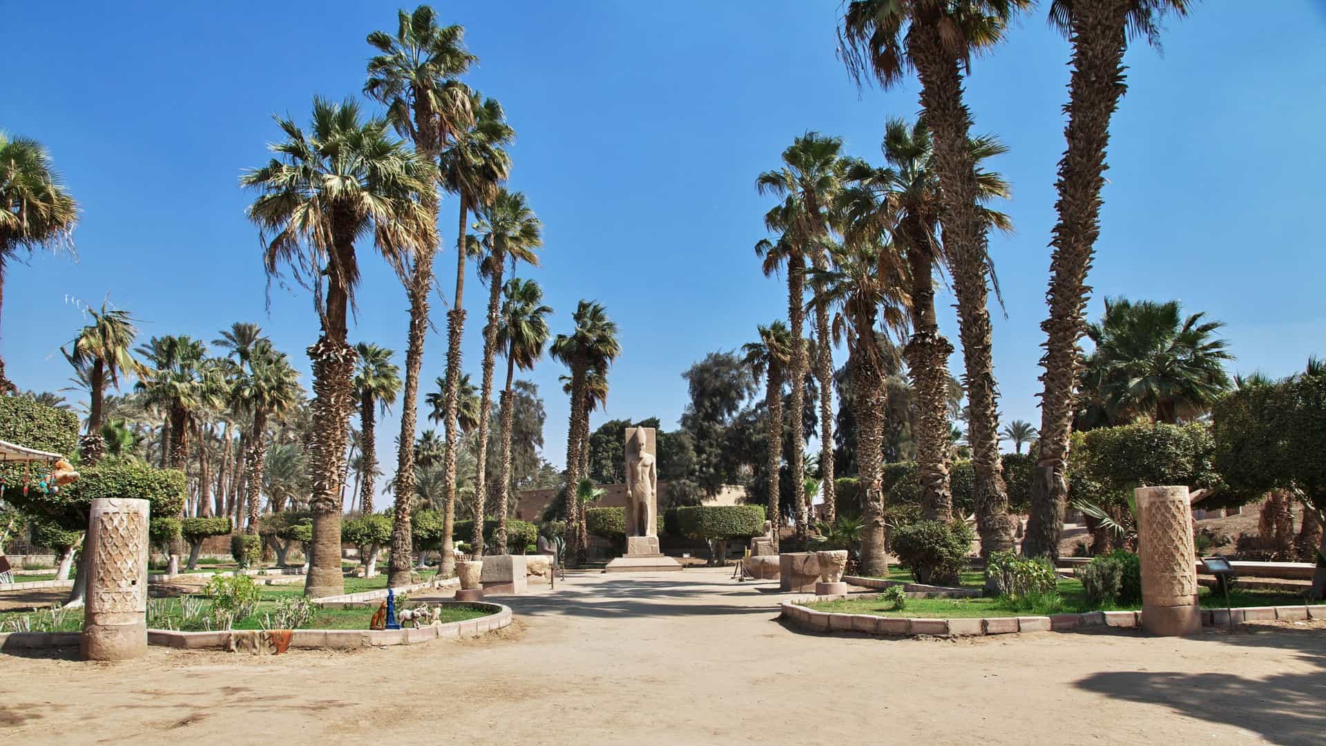 A sunny view of the open-air museum in the ancient city of Memphis, Egypt, featuring tall palm trees and the massive ruins of a statue of Ramses II.