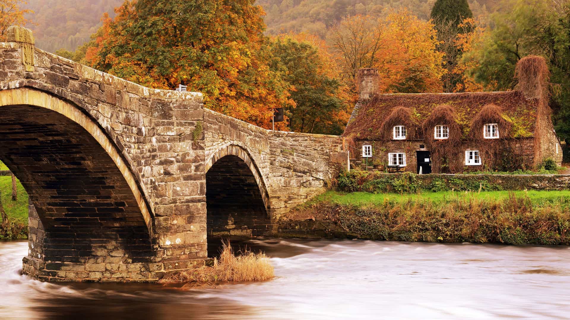 A historic stone arch bridge crossing a flowing river, leading to a charming, ivy-covered cottage with a thatched roof, surrounded by trees with autumn foliage.