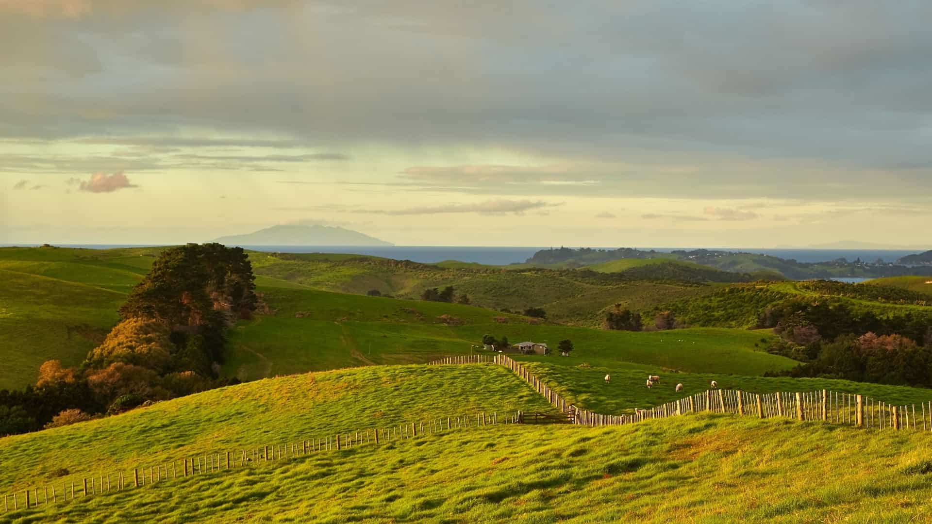 Rolling, vibrant green hills of farmland slope down to the ocean under a dramatic cloudy sky on Motutapu Island, New Zealand.