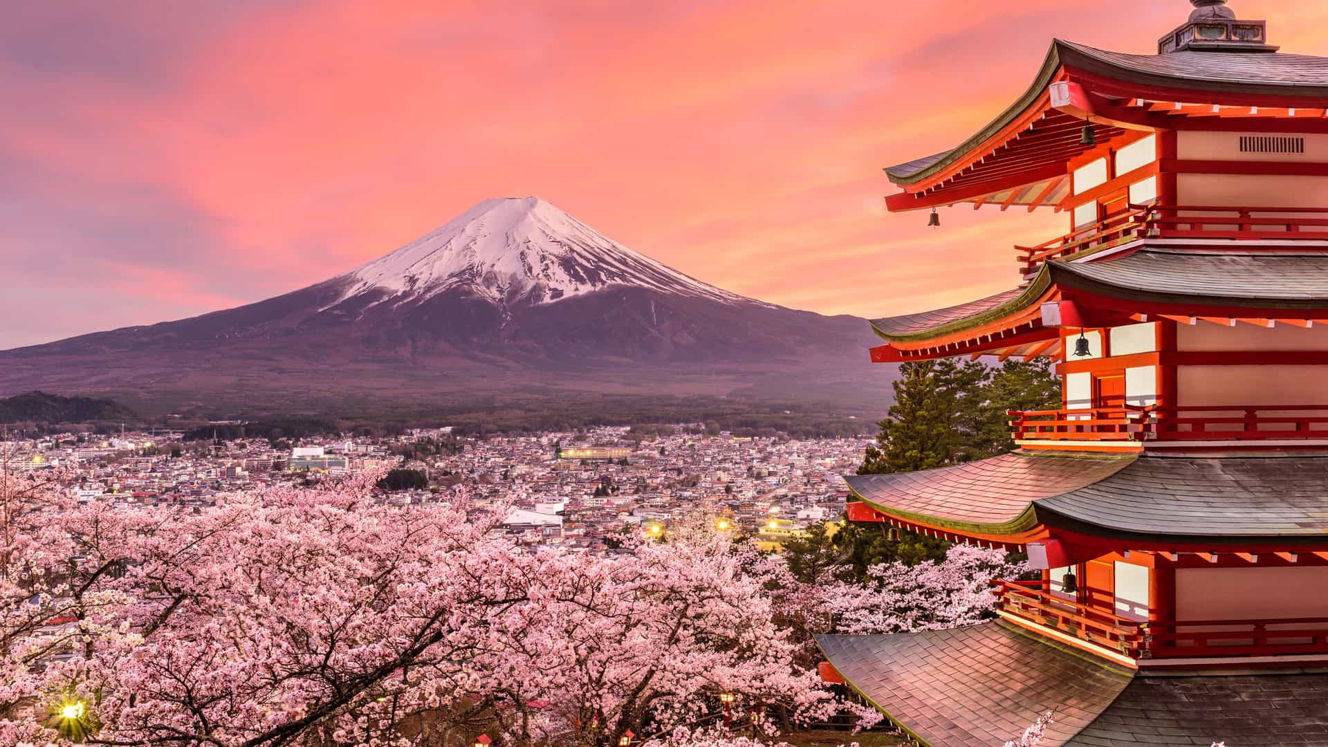 "A panoramic view of the Chureito Pagoda and Mount Fuji, Japan, surrounded by vibrant pink cherry blossoms in bloom at sunset.  "