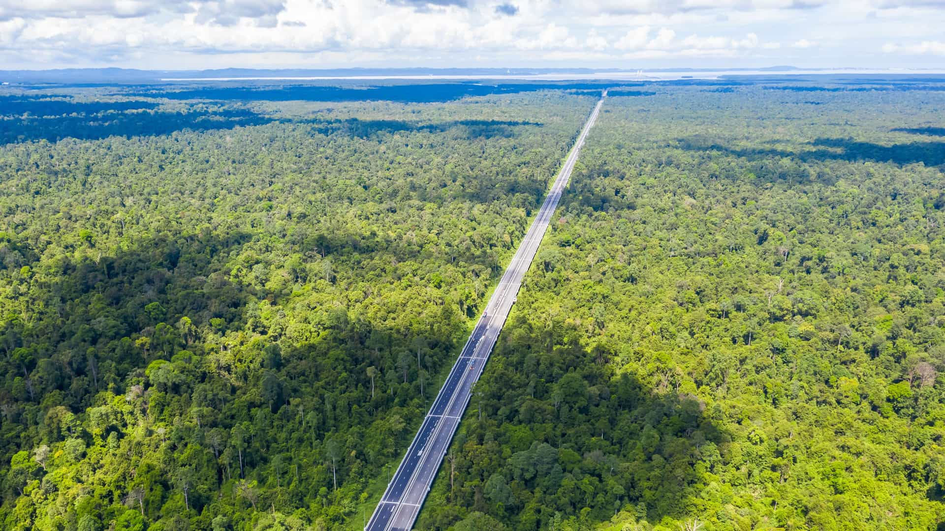 "An aerial view of the Sultan Haji Omar 'Ali Saifuddien Bridge in Muara, Brunei, a straight, long highway cutting through a dense green forest with a cloudy sky overhead.  "