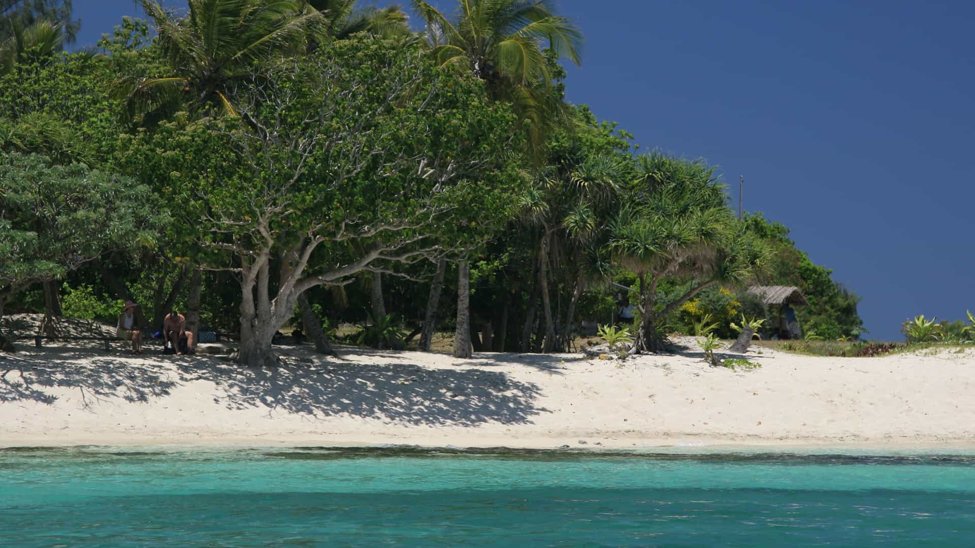 A scenic view of the white sand beach and lush palm trees of Mystery Island, Aneityum, with calm, turquoise water under a clear blue sky.