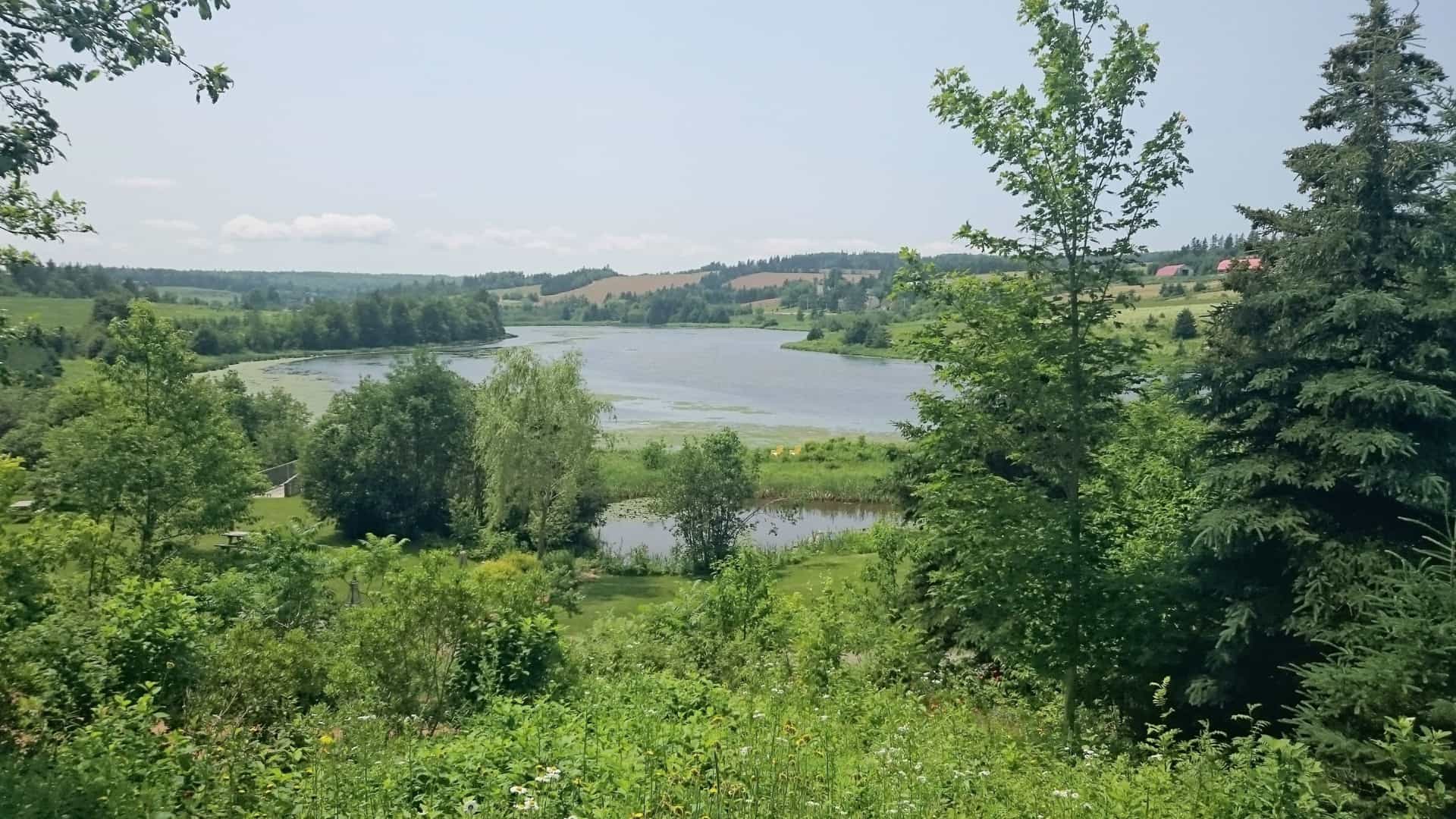 A lush, green landscape frames a wide, calm lake that winds through rolling, tree-covered hills under a hazy summer sky.