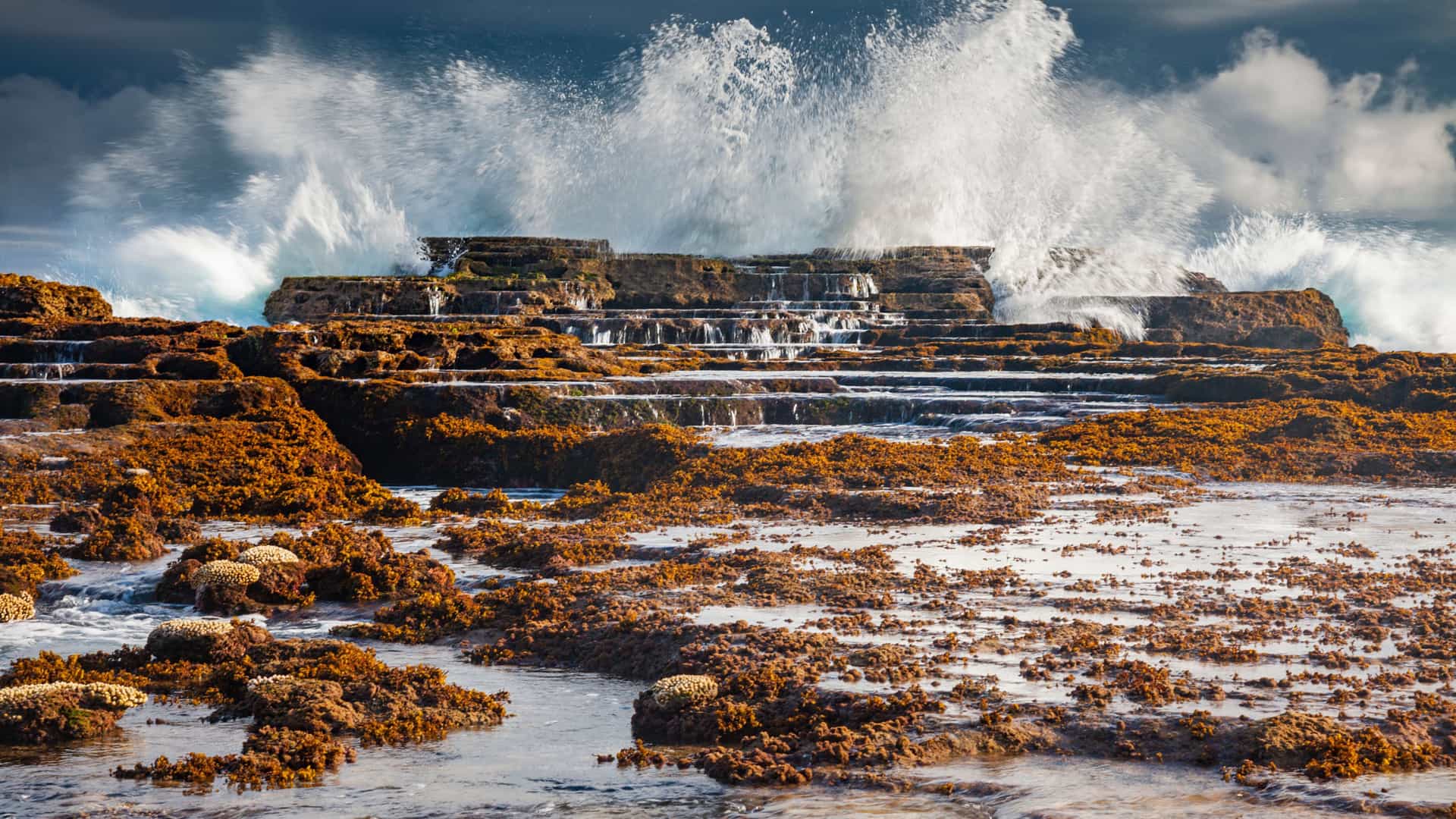A dynamic shot of powerful ocean waves crashing against a rugged, tiered rock formation covered in reddish-brown seaweed on the shoreline of Nuku'alofa, Tonga.