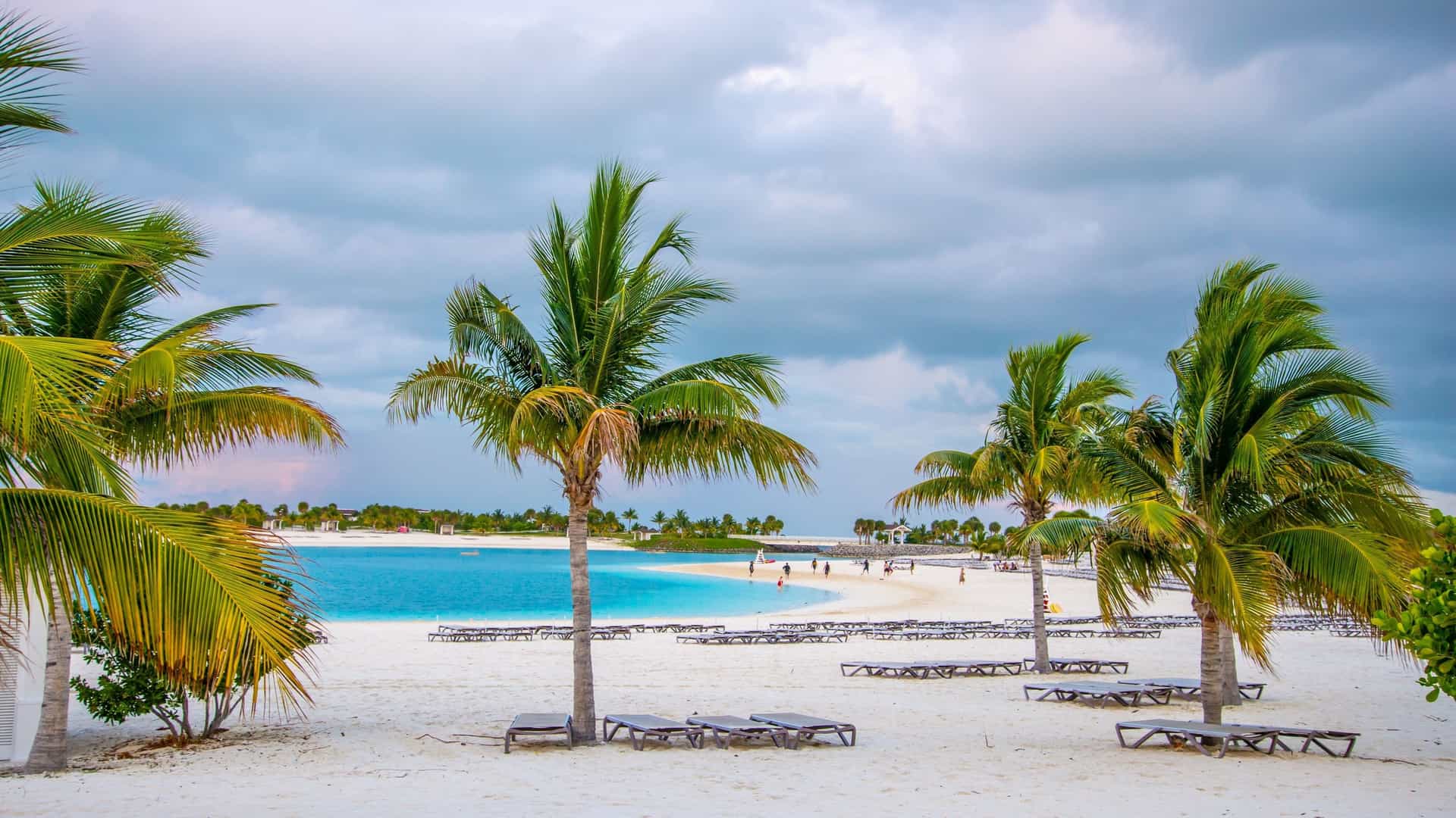 An idyllic, wide-angle photo of a beautiful white sand beach at Ocean Cay MSC Marine Reserve in The Bahamas. The foreground features soft, white sand leading to shallow turquoise water. Several upright palm trees are visible on the left, casting shadows, and the background shows the vast, clear blue ocean meeting a horizon under a sky with scattered white clouds.