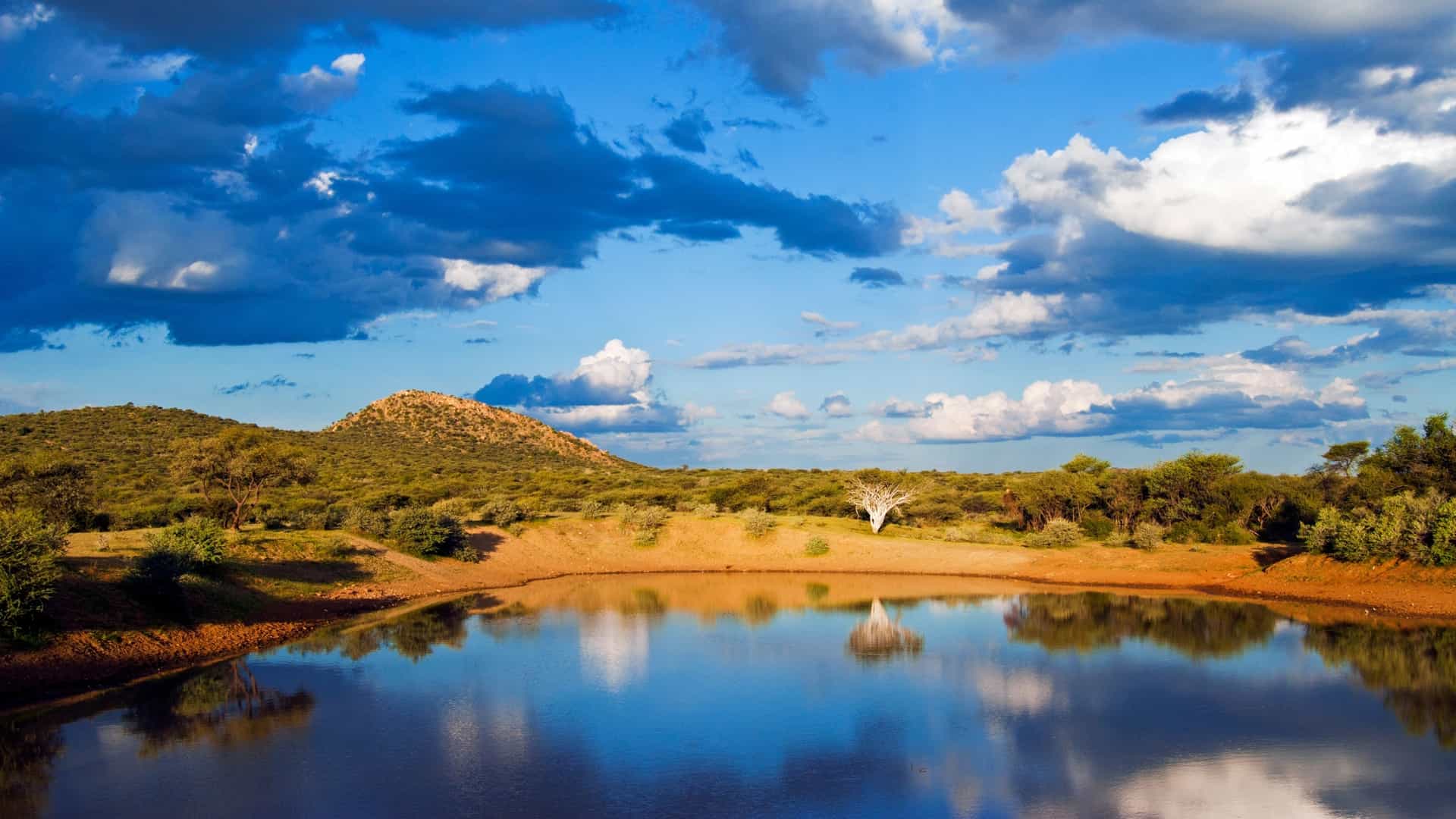 A calm, dark watering hole in Ongava Game Reserve reflects a dramatic blue sky and white clouds, surrounded by green and tan hills.