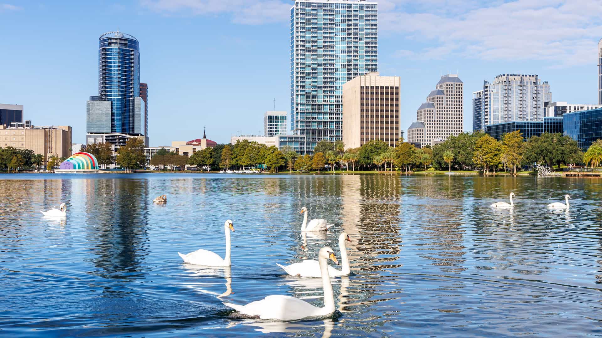 "A wide-angle shot of the Orlando skyline in Florida, with the cityscape and surrounding trees reflecting on the calm waters of Lake Eola, where white swans are swimming.  "