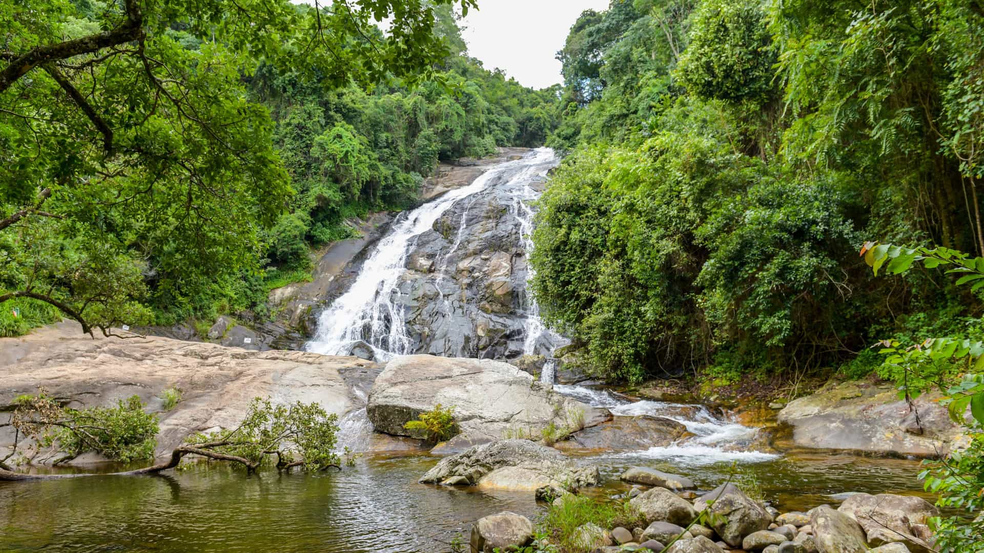 A lush forest setting in Polokwane with a cascading waterfall flowing over rocky ledges into a calm pool, surrounded by dense green trees, boulders, and fallen branches in a serene natural landscape.