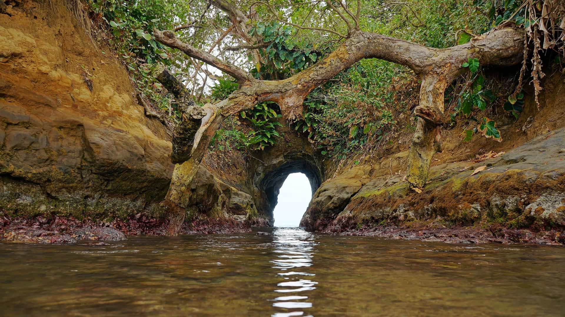 A stunning shot of a small, natural tunnel in the cliffs of the rugged coastline near Puerto Limon, Costa Rica, with a gnarled tree branch reaching across the top and water flowing through.