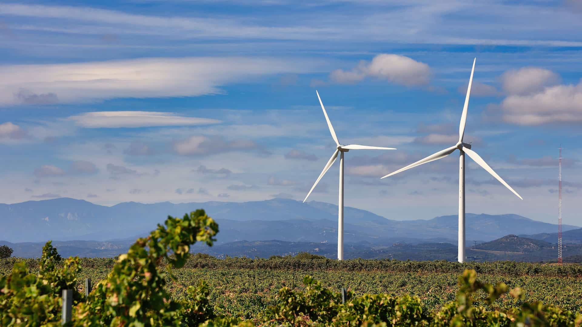Two large white wind turbines stand in a vineyard against a backdrop of distant blue mountains under a partially cloudy sky.