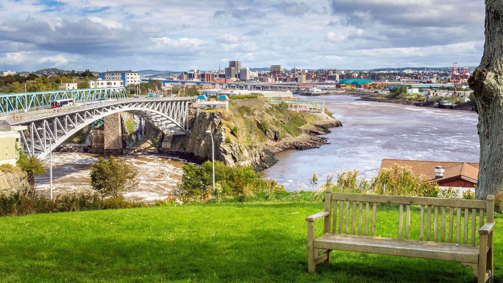 A picturesque view of the Reversing Falls Rapids in Saint John, New Brunswick, with a bridge crossing the water and the city's skyline in the background, as seen from a grassy park with a bench.