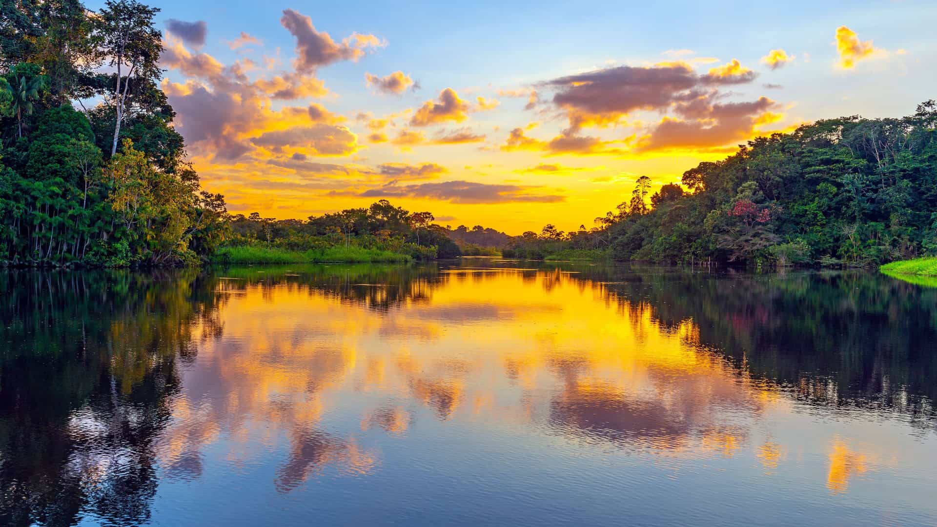A serene and colorful sunset over the San Pedro River in the Amazon rainforest, with the vibrant yellow and orange clouds reflecting on the still water, surrounded by lush, dark green foliage.