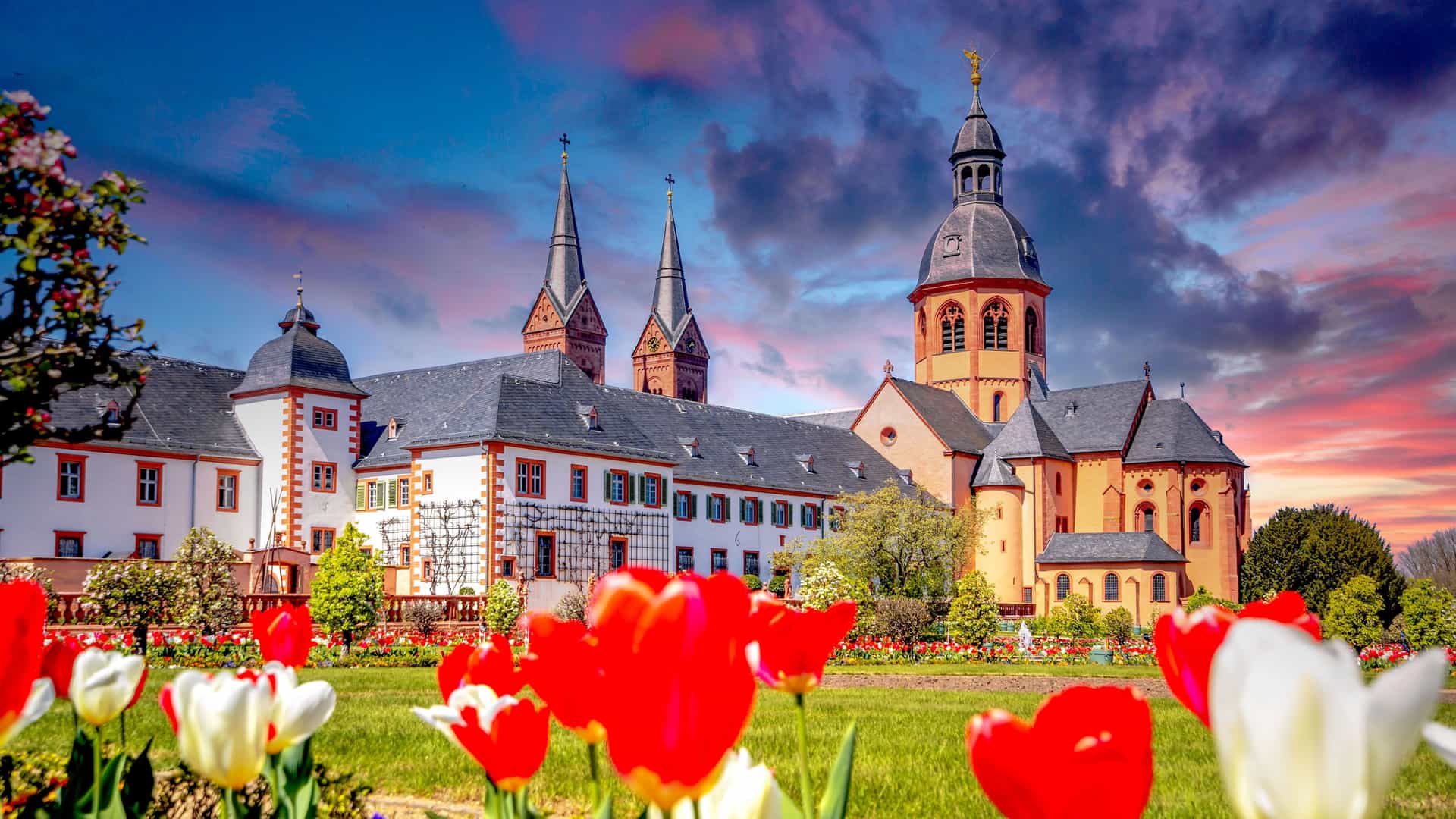 A breathtaking view of the historic Seligenstadt Abbey in Germany, with its ornate buildings and towering steeples, surrounded by vibrant red and white tulips in full bloom.