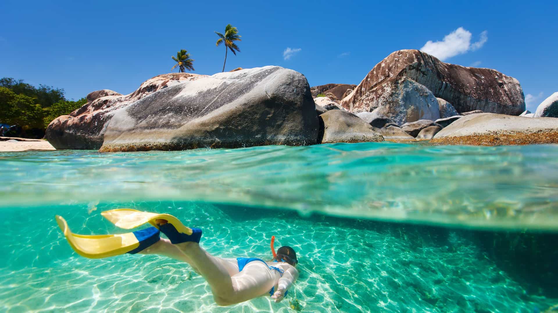 A captivating half-underwater, half-above-water shot of a person snorkeling in the vibrant turquoise waters of the British Virgin Islands with stunning rock formations and palm trees visible above the waterline.