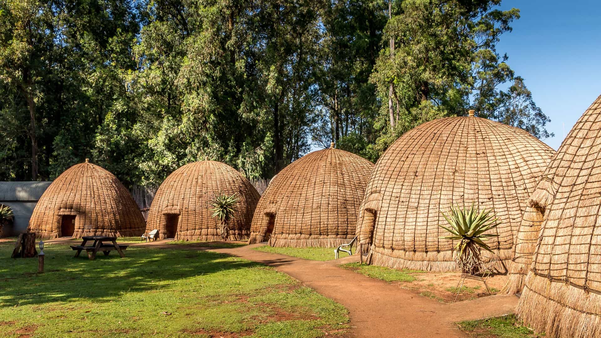 "A group of traditional beehive huts, with their distinctive grass-woven roofs, sit among lush green grass and tall trees at a cultural village in Eswatini (Swaziland).  "