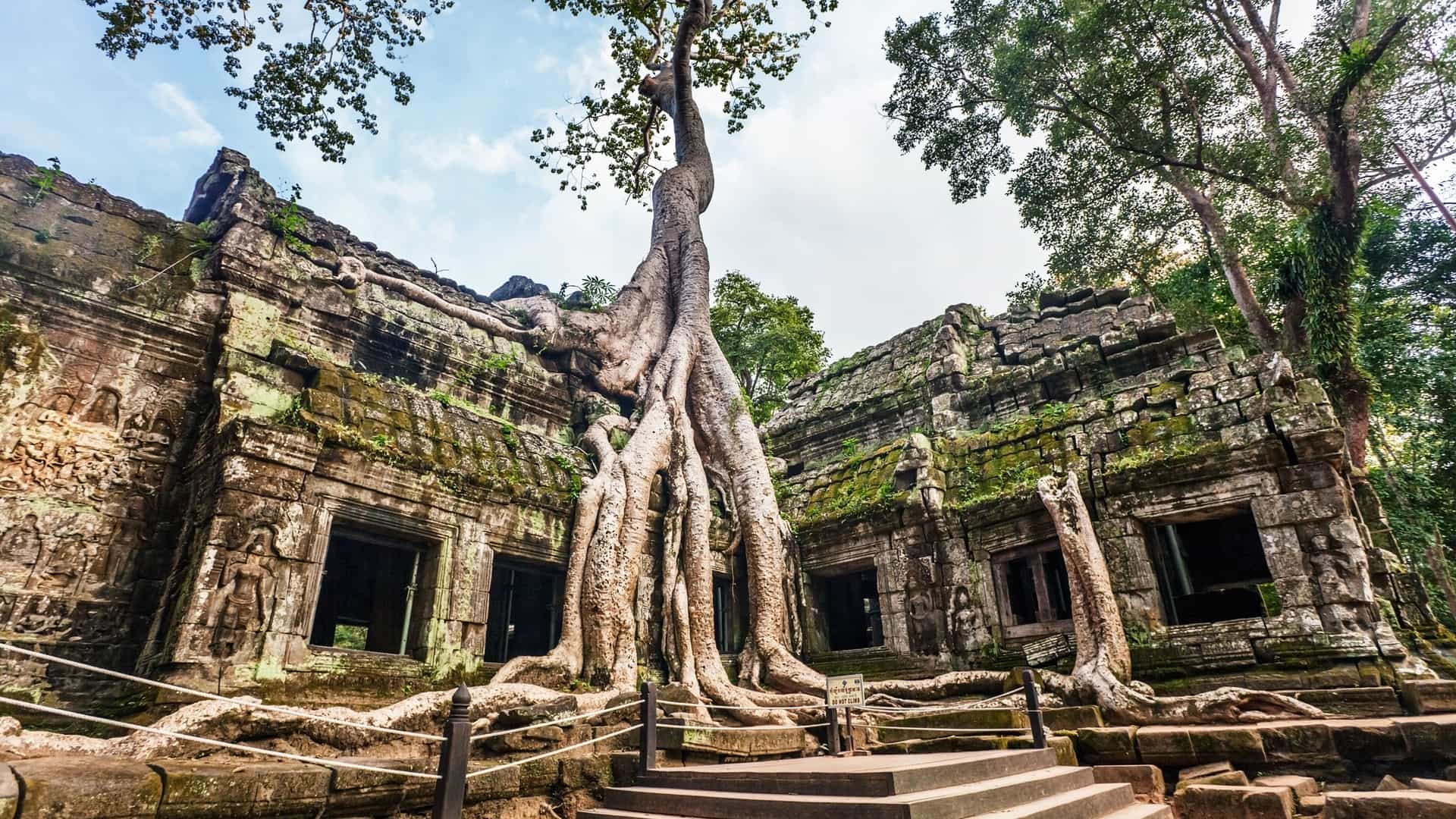 A striking view of the ancient Ta Prohm temple in Cambodia, with its weathered stone structures entwined and overtaken by the massive roots of a centuries-old silk-cotton tree.