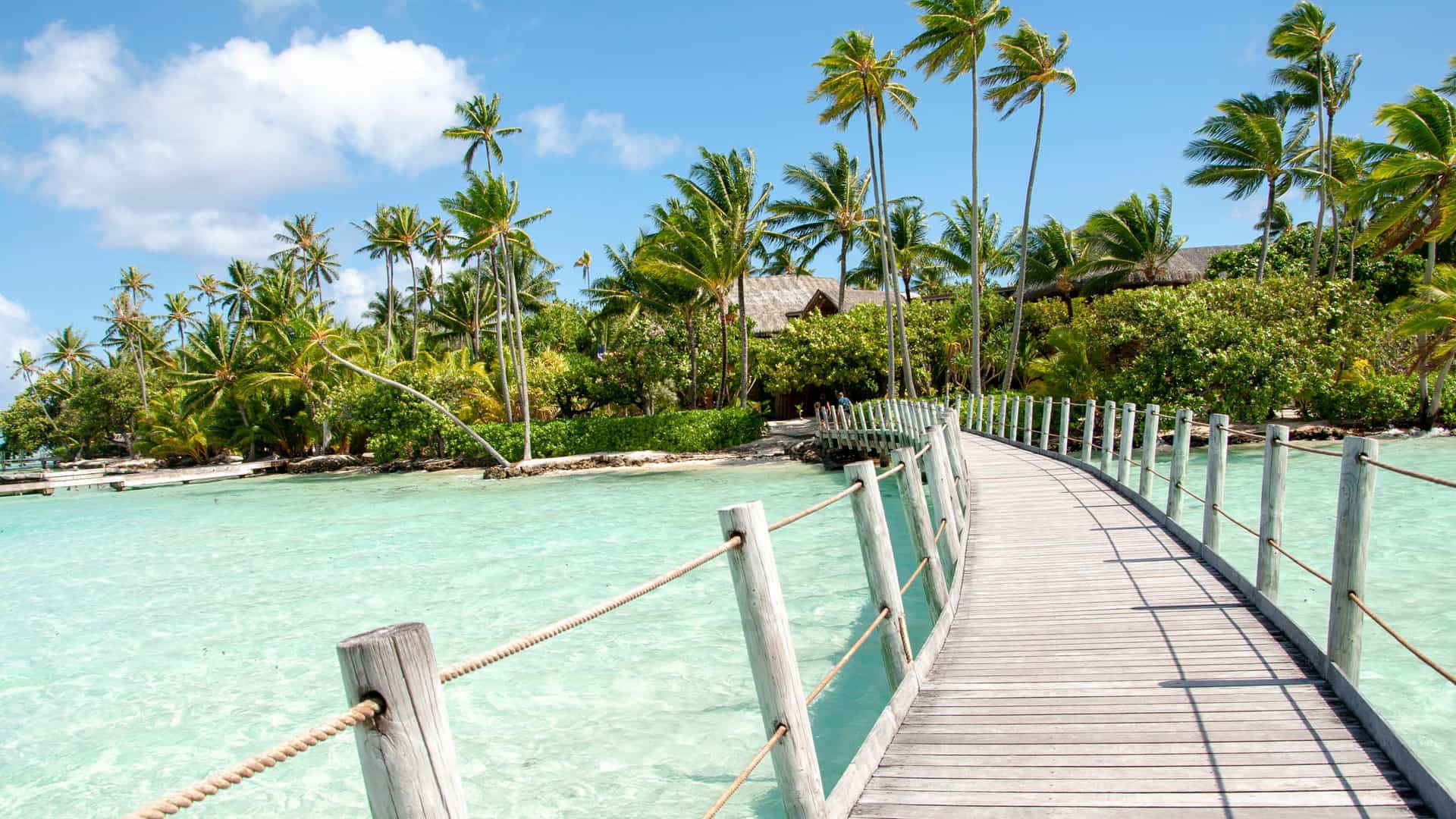 A view of a curved wooden pier leading to a private island with lush green palm trees and thatched-roof huts in the crystal clear turquoise water of Motu Mahana in Tahaa, French Polynesia.