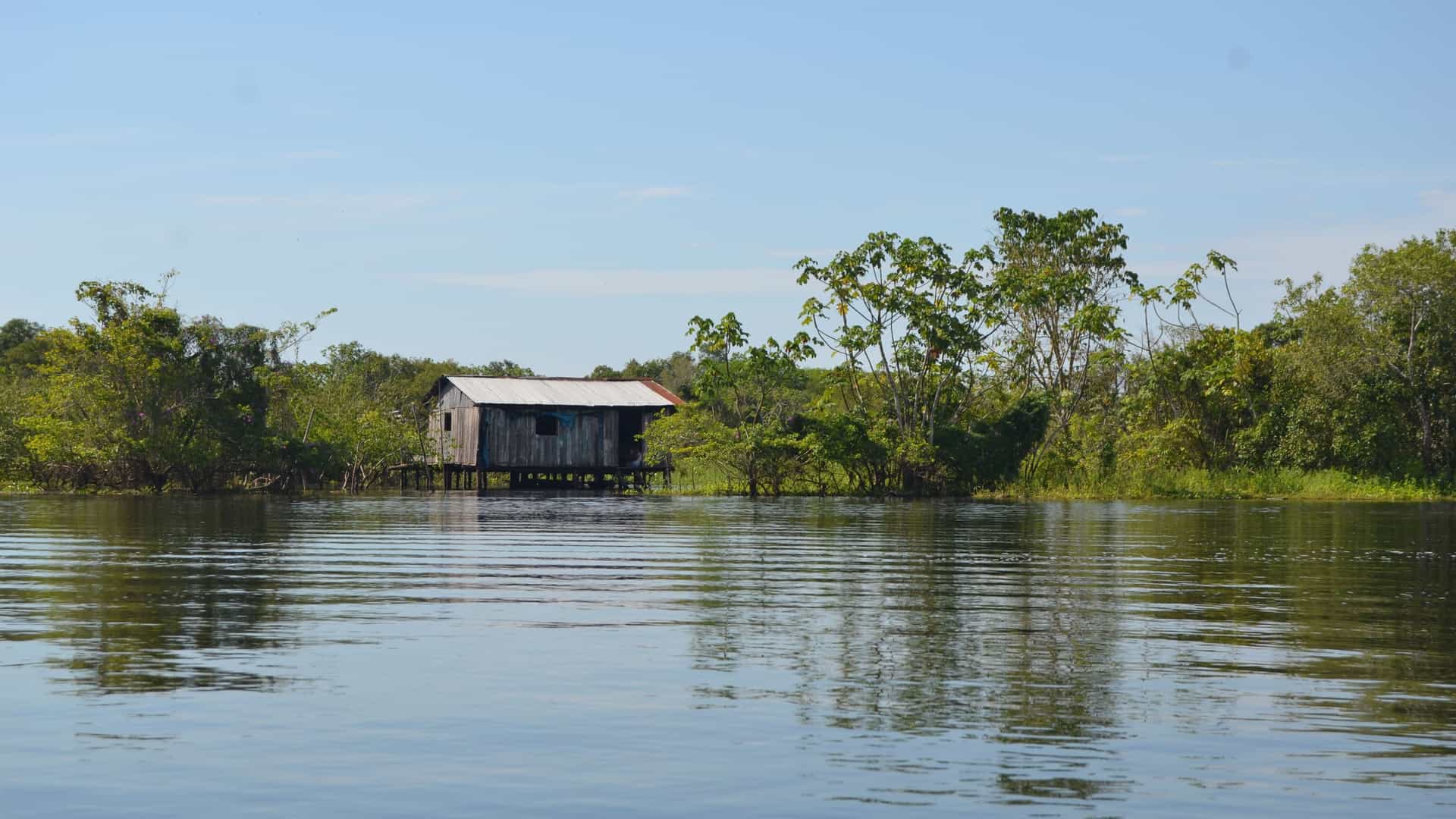 A peaceful view of a rustic, wooden house on stilts in the middle of a calm river, surrounded by lush green trees under a clear blue sky on the Tapiche River, Peru.