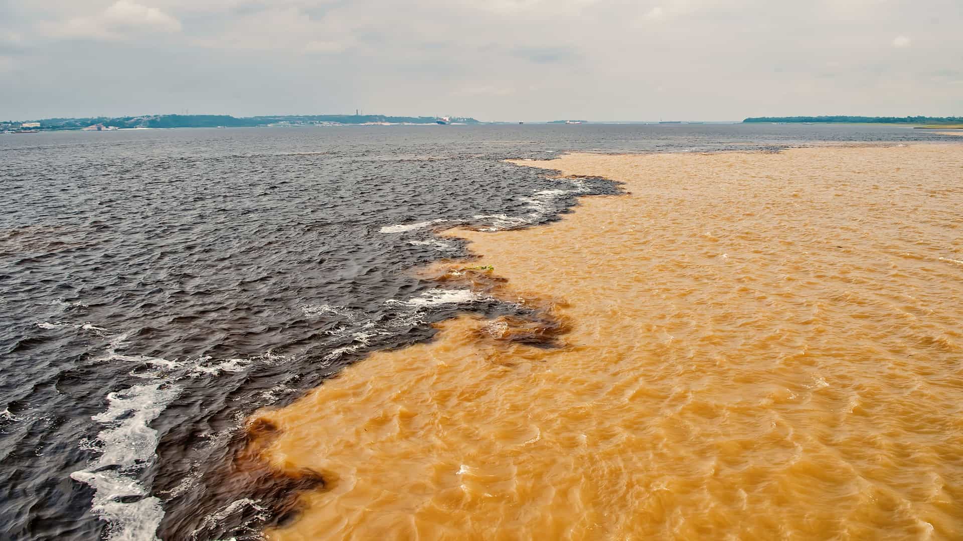 A panoramic view of the 'Meeting of Waters,' where the dark Rio Negro and the sandy-colored Solimões River converge to form the Amazon River in Manaus, Brazil.