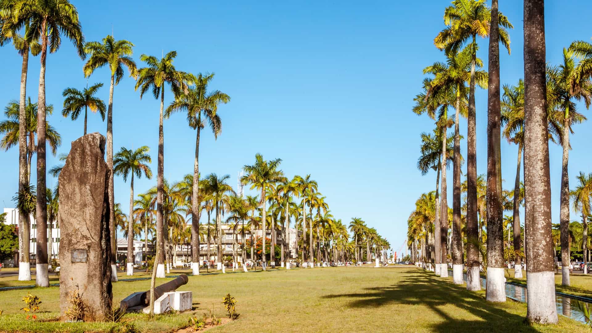A long path with rows of tall palm trees and a historic cannon on a grassy lawn in the tropical city of Toamasina (Tamatave), Madagascar.