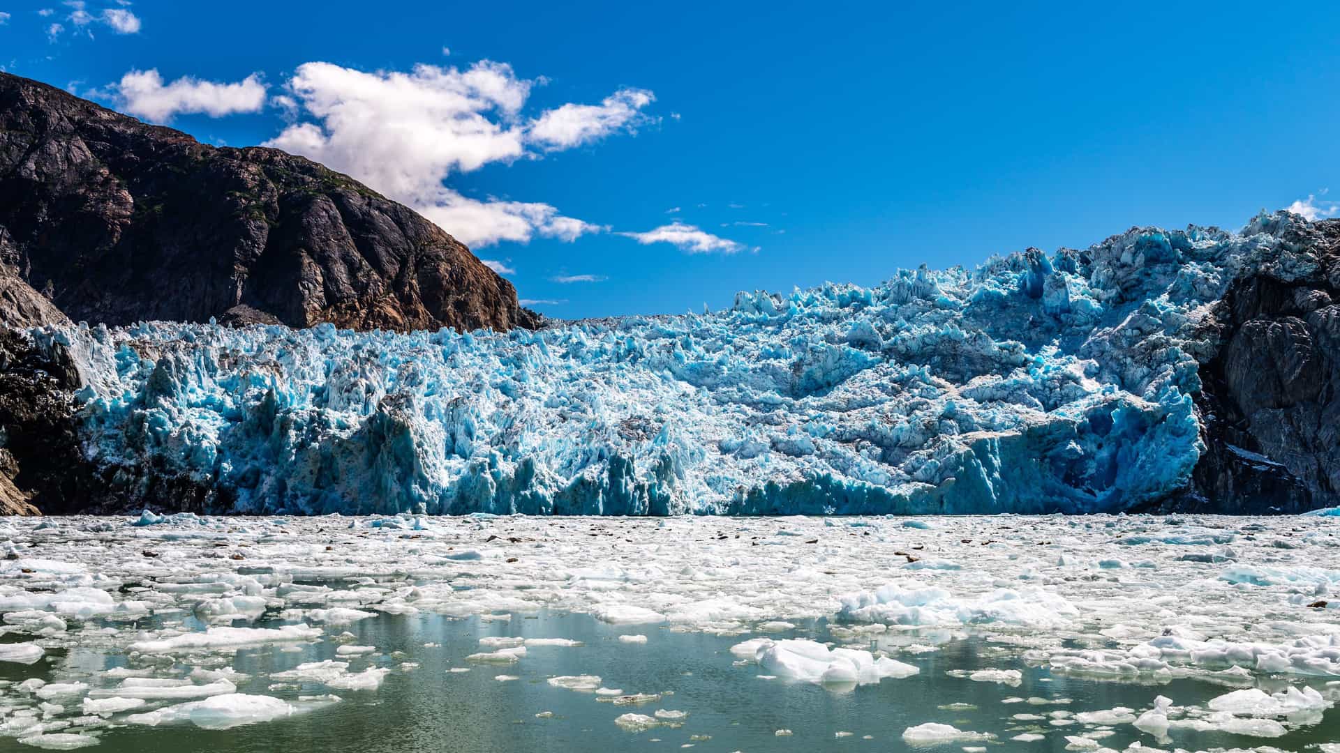 A massive blue and white ice wall of the Sawyer Glacier in Tracy Arm, Alaska, with ice chunks floating in the water and rocky cliffs under a bright blue sky.