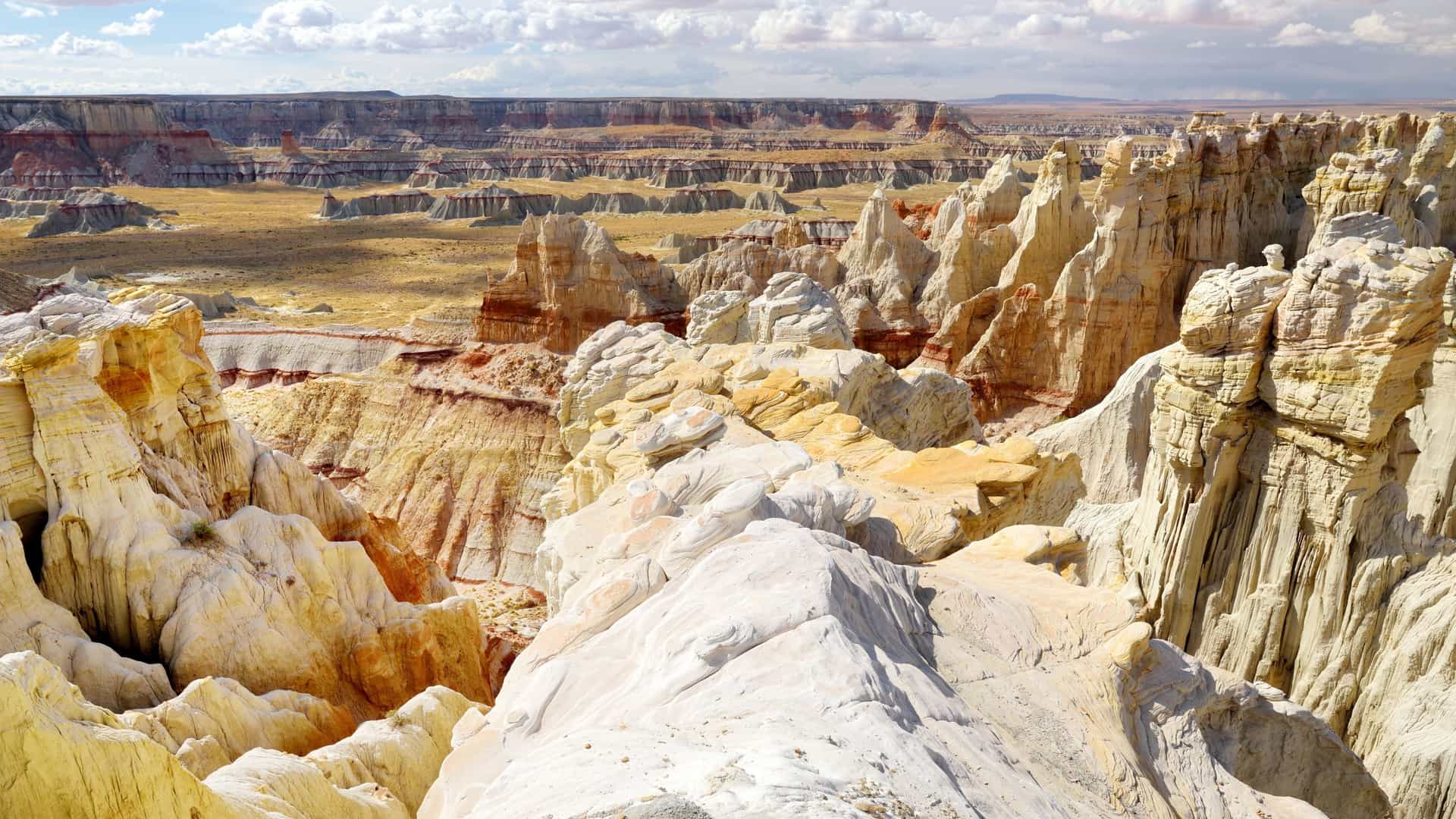 A scenic view of stunning sandstone rock formations in the desert, likely in the Vermilion Cliffs National Monument area of Arizona/Utah (such as White Pocket or Coyote Buttes). The rocks exhibit intricate, swirling patterns of contrasting colors, predominantly white/cream with horizontal and swirling streaks of red, pink, and orange cross-bedding, characteristic of the Jurassic-age Navajo Sandstone. The foreground features the wavy, sculpted rock formations, with a clear blue sky above.