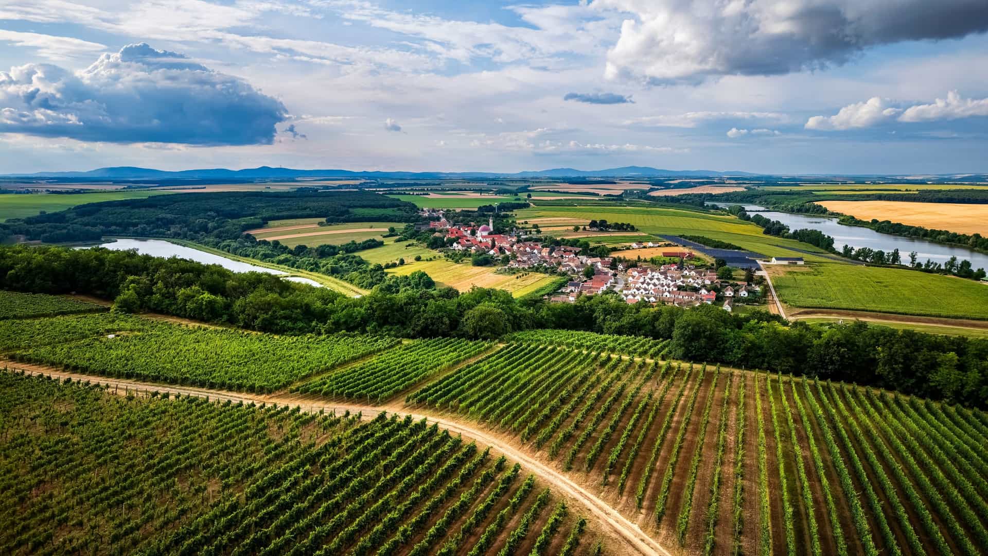 An aerial view of a small, red-roofed village surrounded by lush, rolling vineyards and distant fields under a cloudy sky.