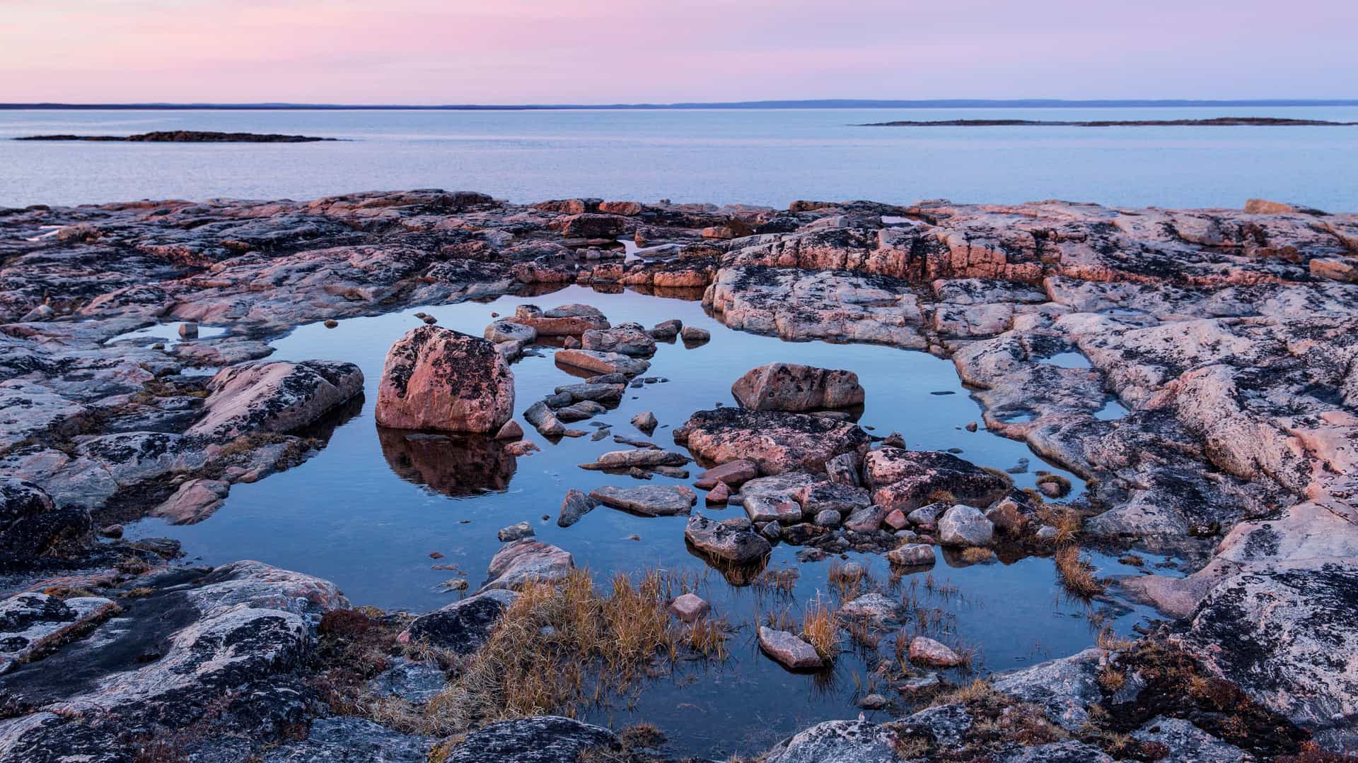 A scenic view of a rocky shoreline on Walrus Island in Canada, with a tide pool in the foreground reflecting the calm water of the bay and a pastel-colored sunset.
