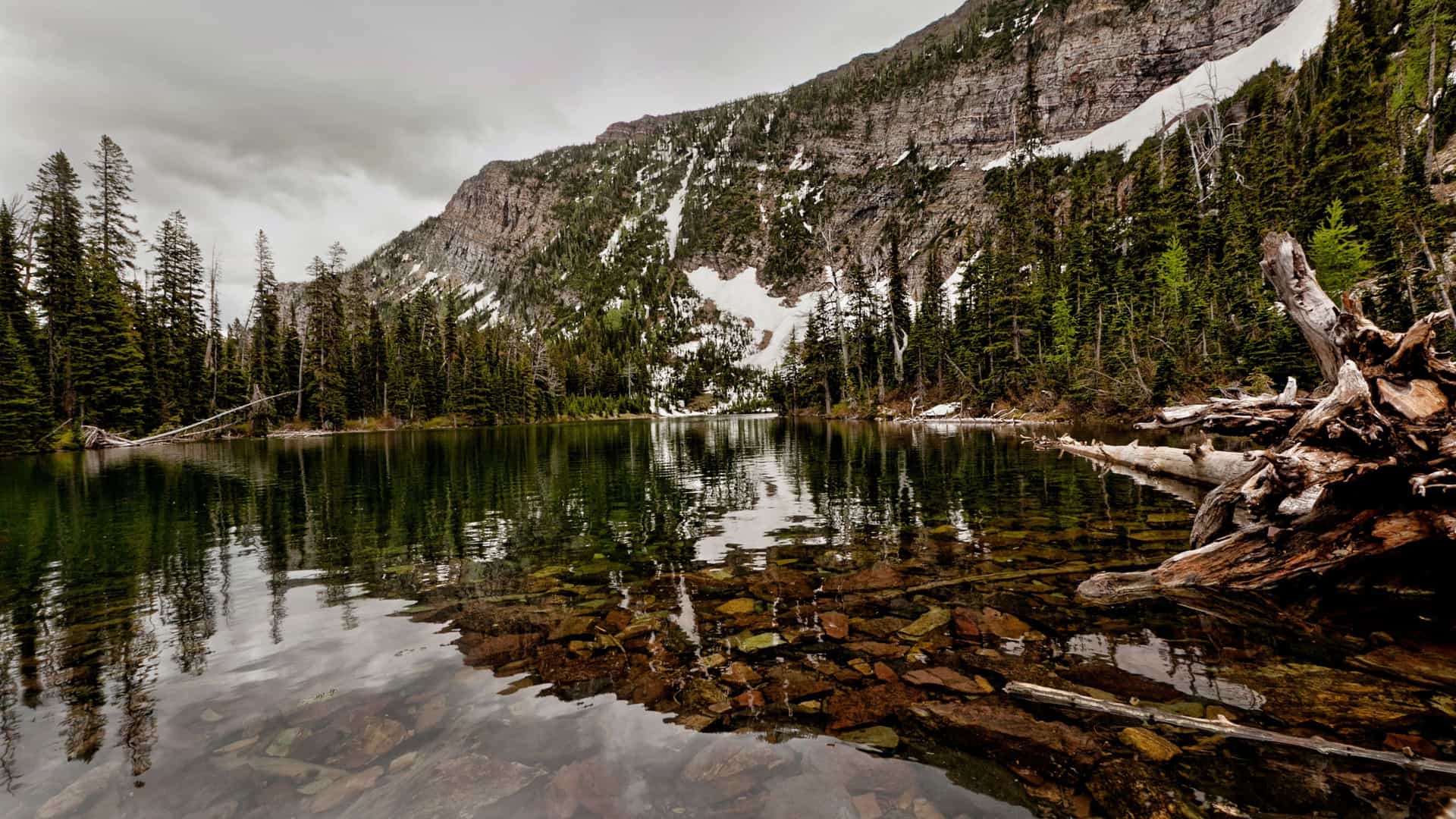"A scenic view of a calm lake in Waterton Lakes National Park, Canada, with the glassy water reflecting a rocky, forested mountain. The shoreline is filled with fallen trees and a mix of evergreens and shrubs.  "