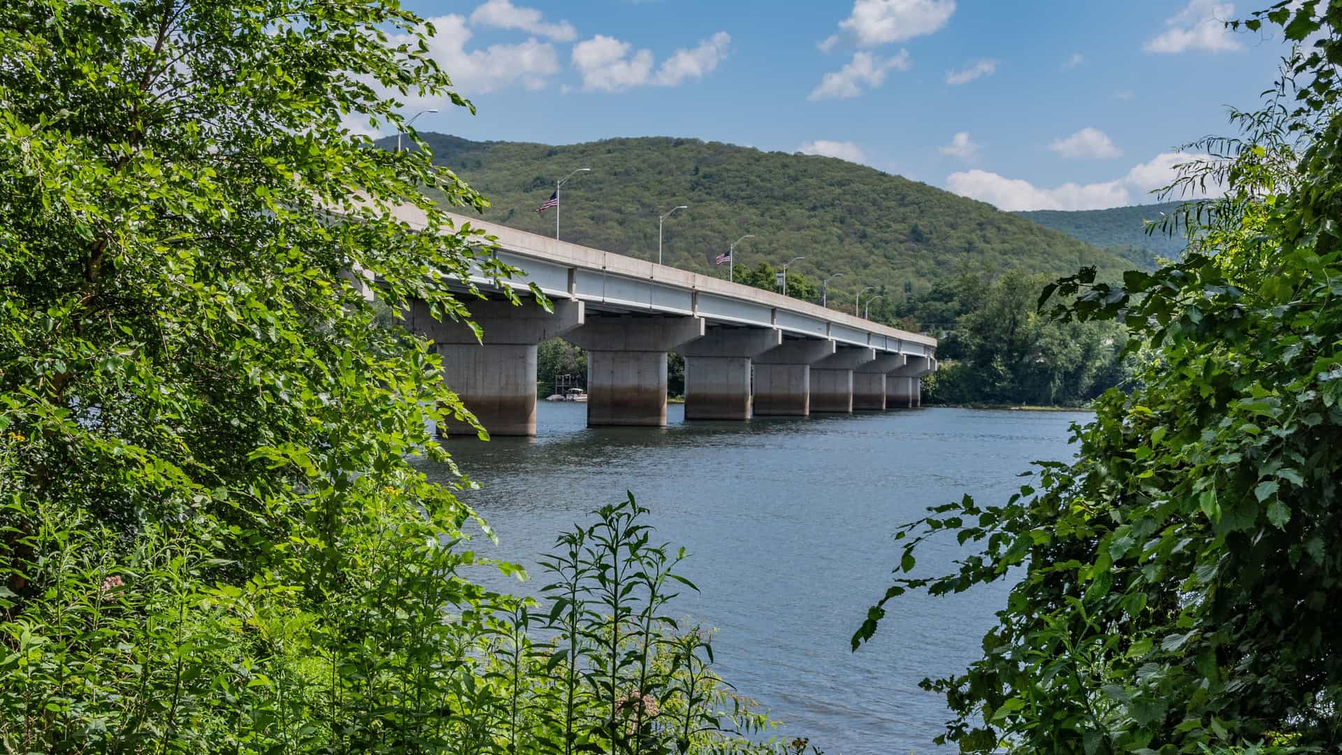 "A view of a modern concrete bridge spanning the wide Susquehanna River, with lush green trees in the foreground and a forested mountain in the background in Williamsport, Pennsylvania.  "
