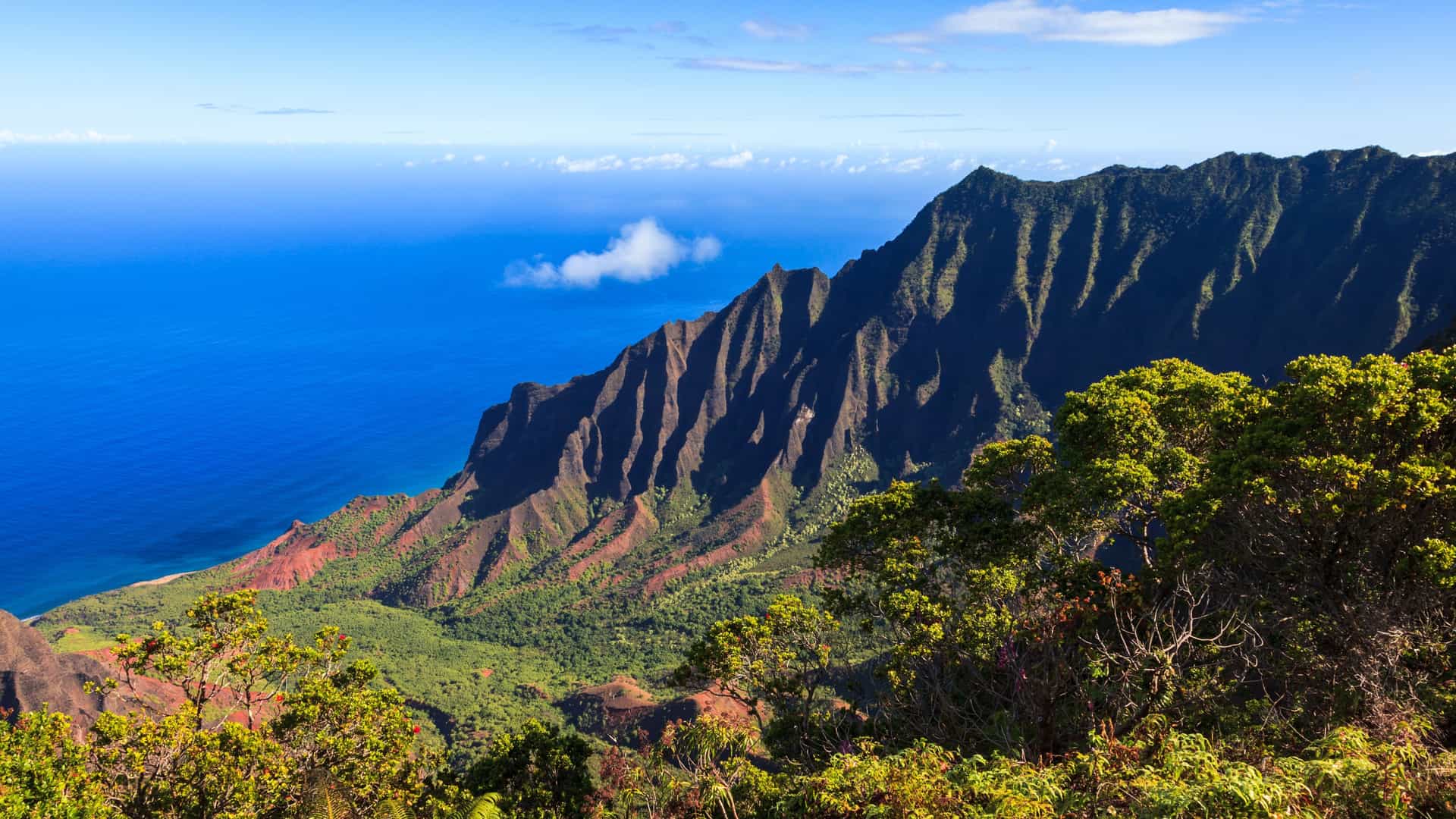 The breathtaking green cliffs of the Na Pali Coast on Kauai, Hawaii, a spectacular scenic highlight experienced on Princess Cruises' Hawaiian voyages.