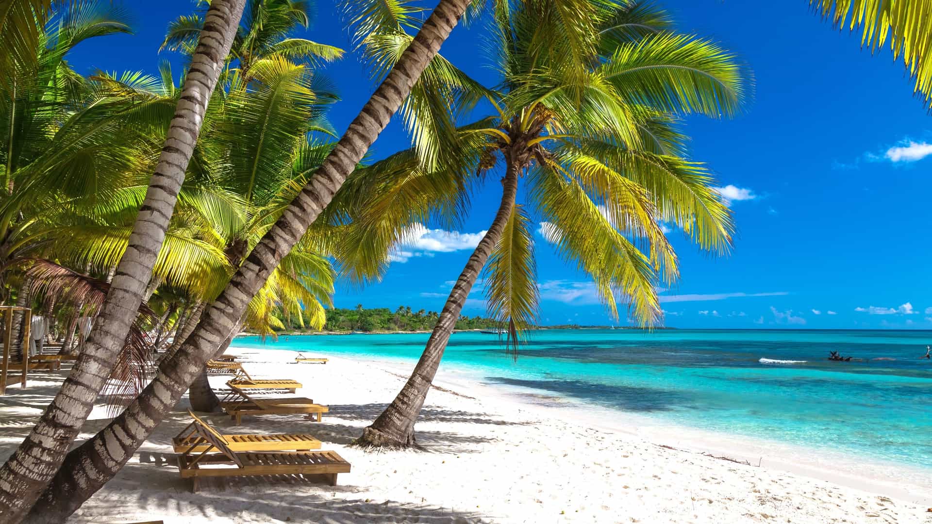 Palm-fringed beach and turquoise waters in Punta Cana.